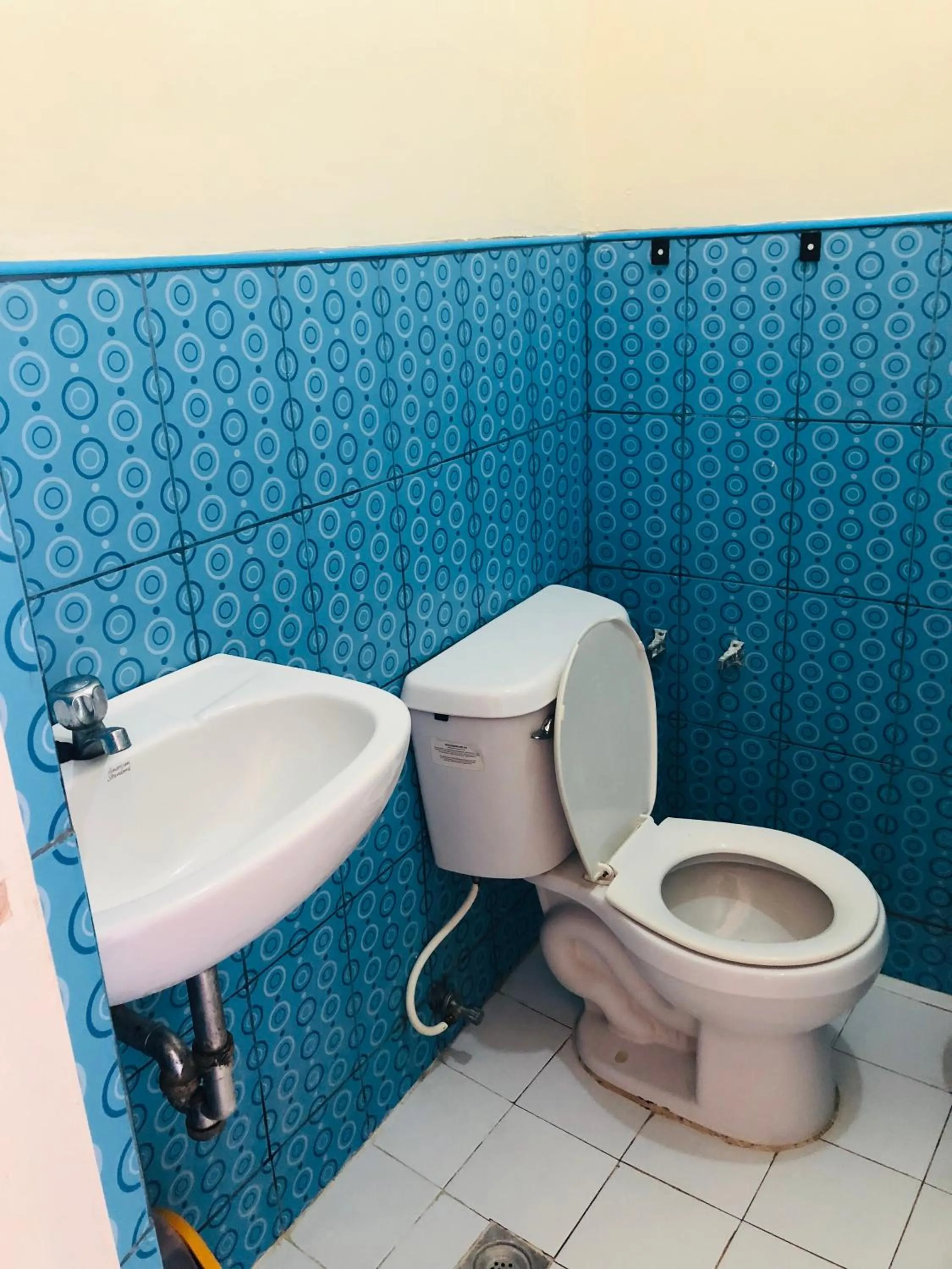 Edem Tourist Inn Malapascua