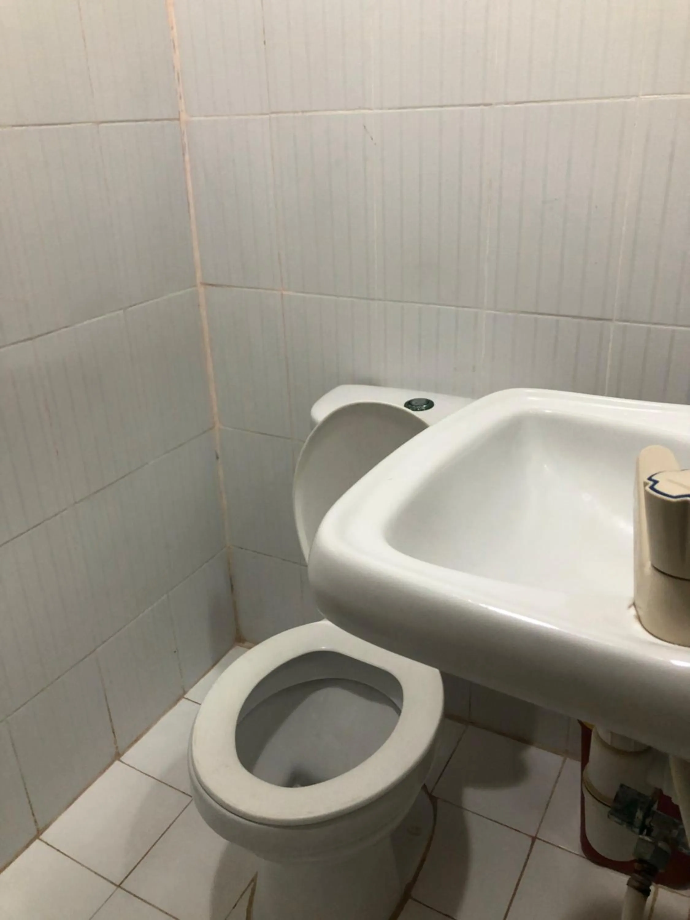 Edem Tourist Inn Malapascua