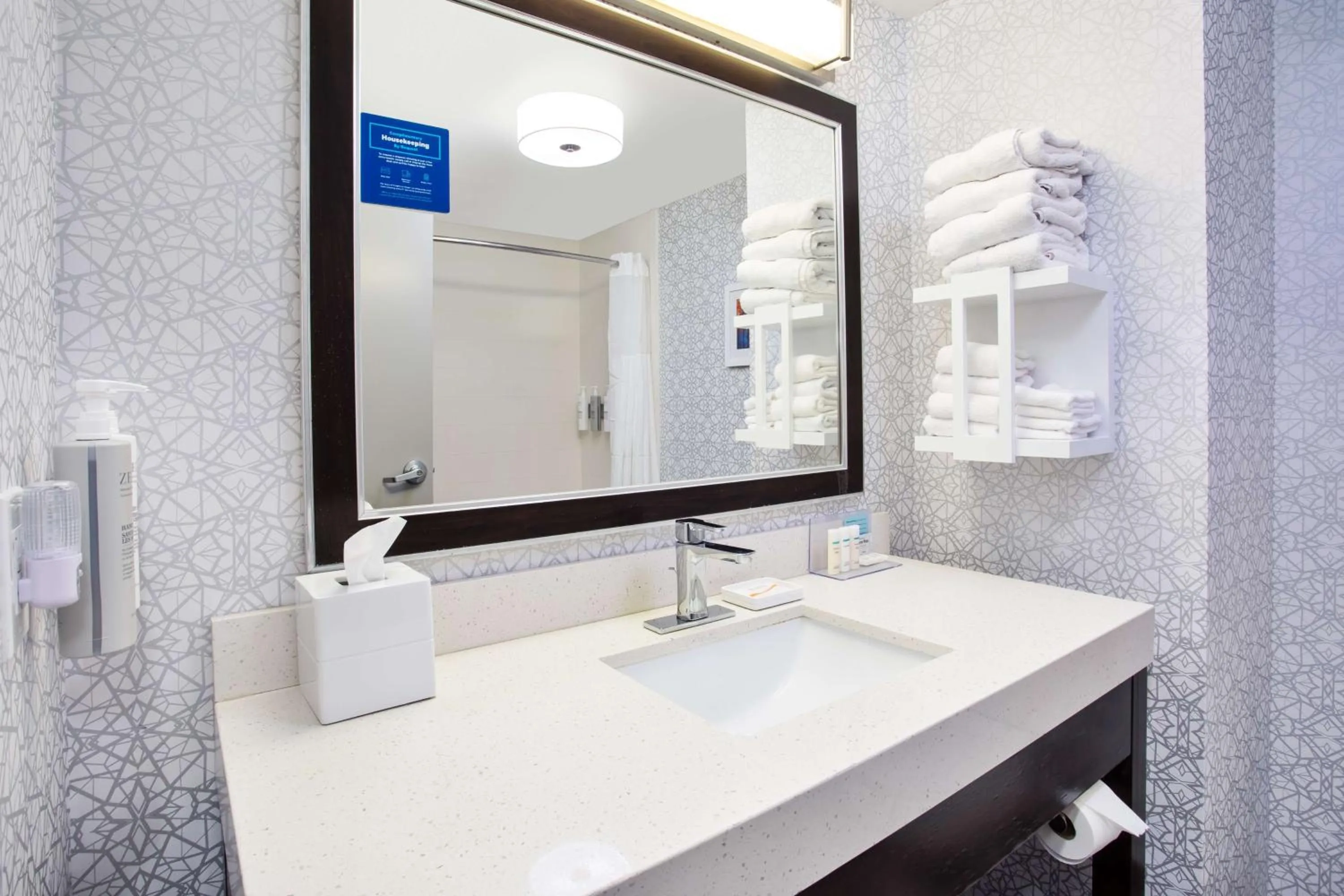 Bathroom in Hampton Inn & Suites Columbia/Southeast-Fort Jackson