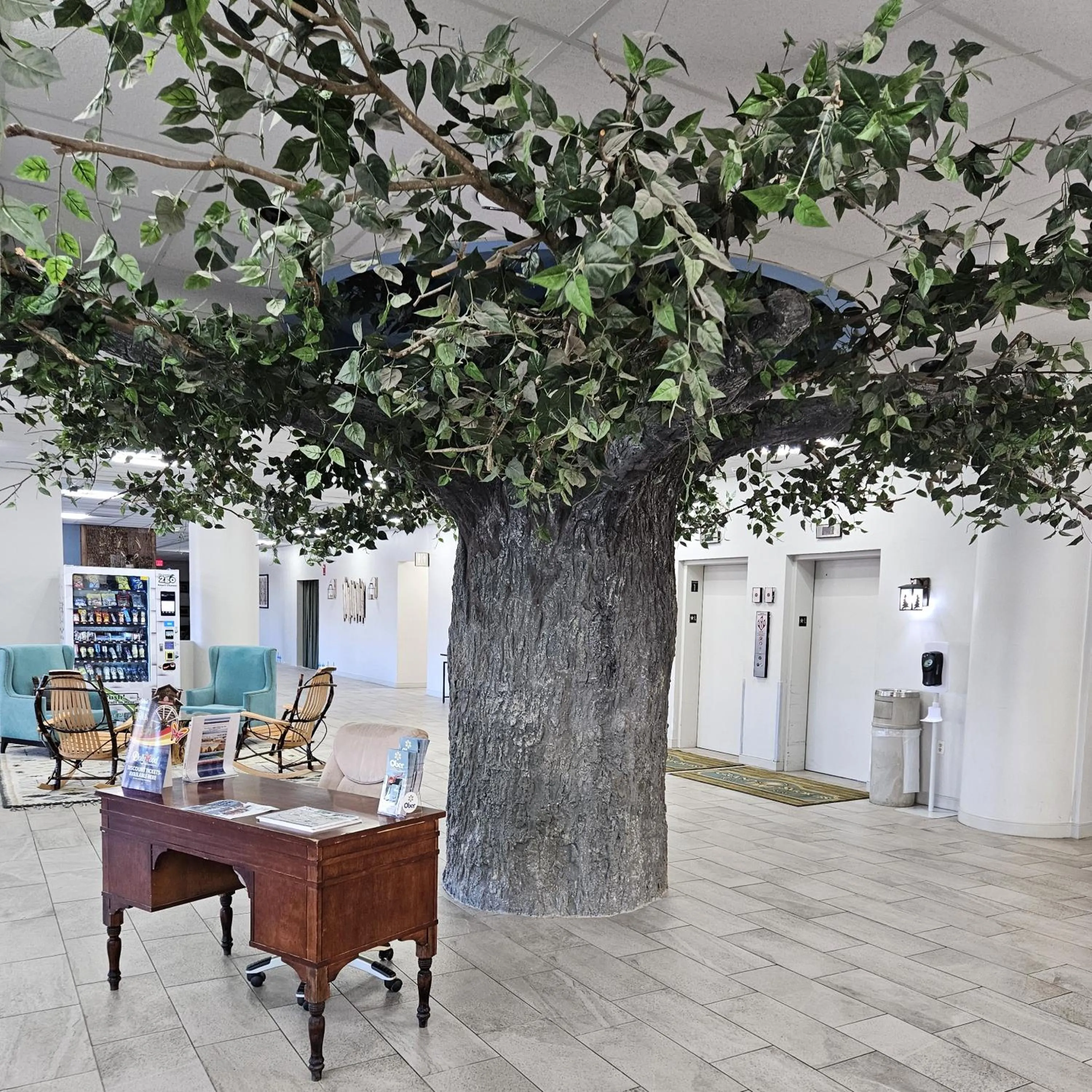 Lobby or reception in Grand Smokies Resort Lodge Pigeon Forge