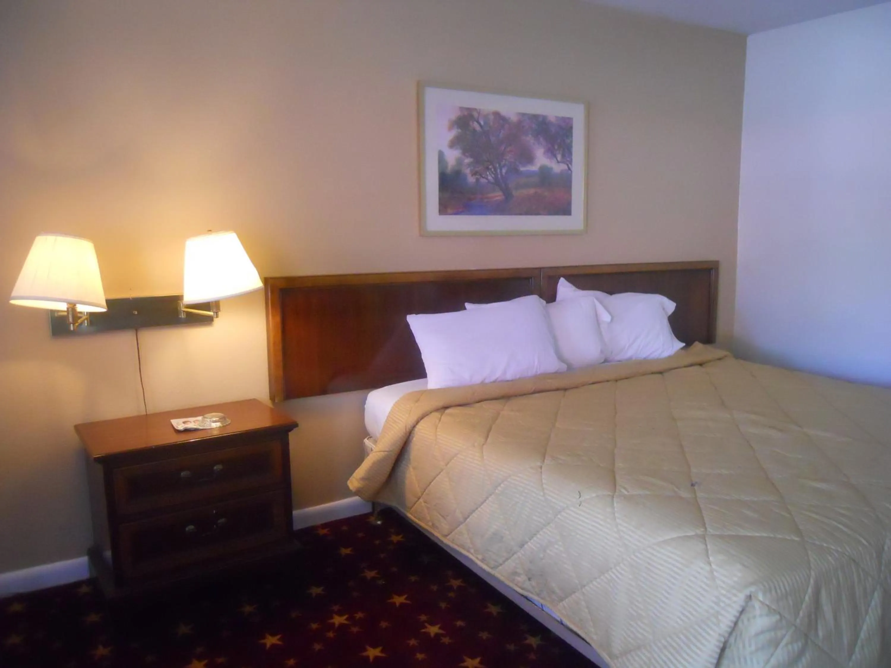 Bedroom in Cascades Motel - Chattanooga