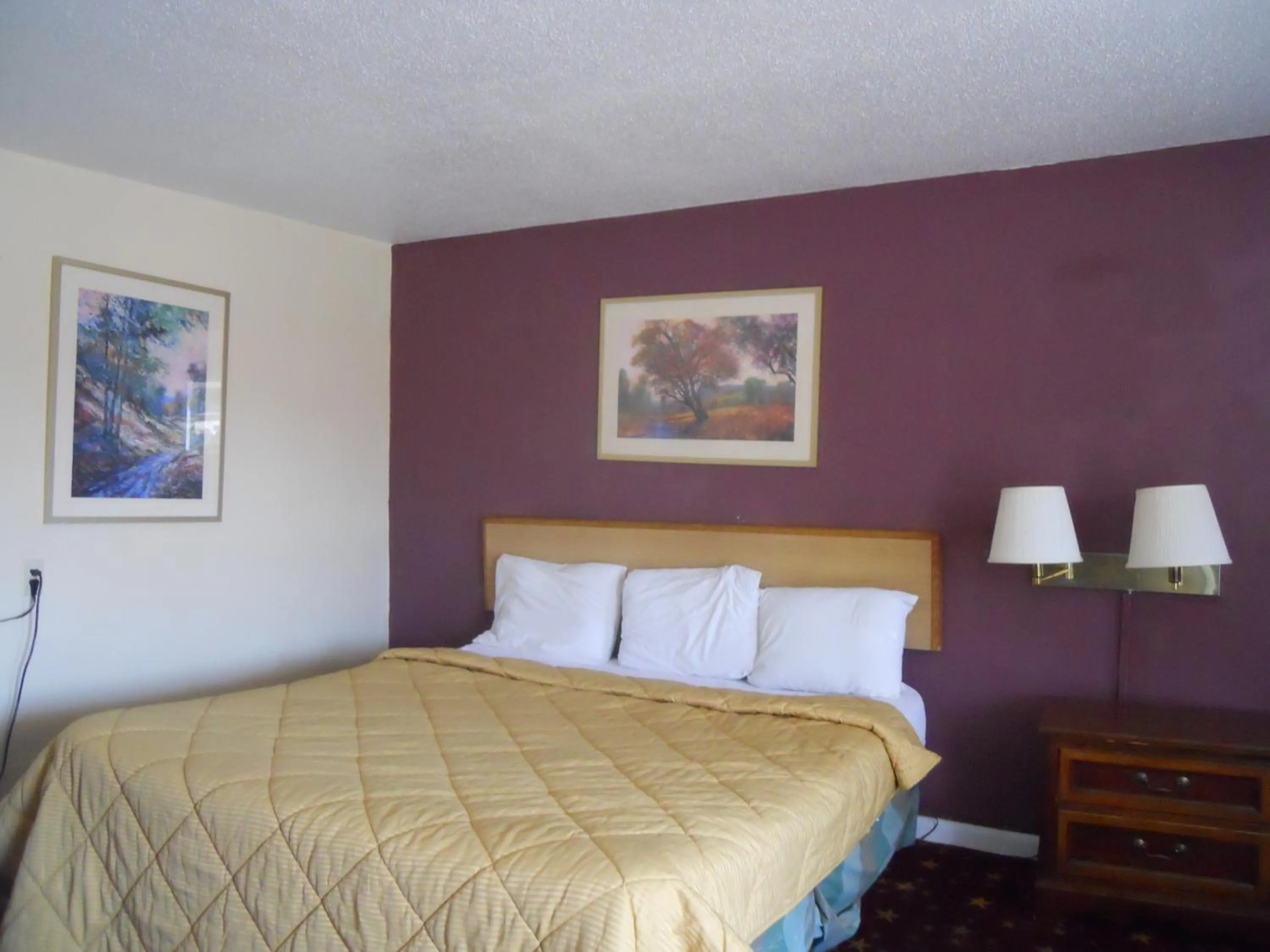 Bedroom in Cascades Motel - Chattanooga