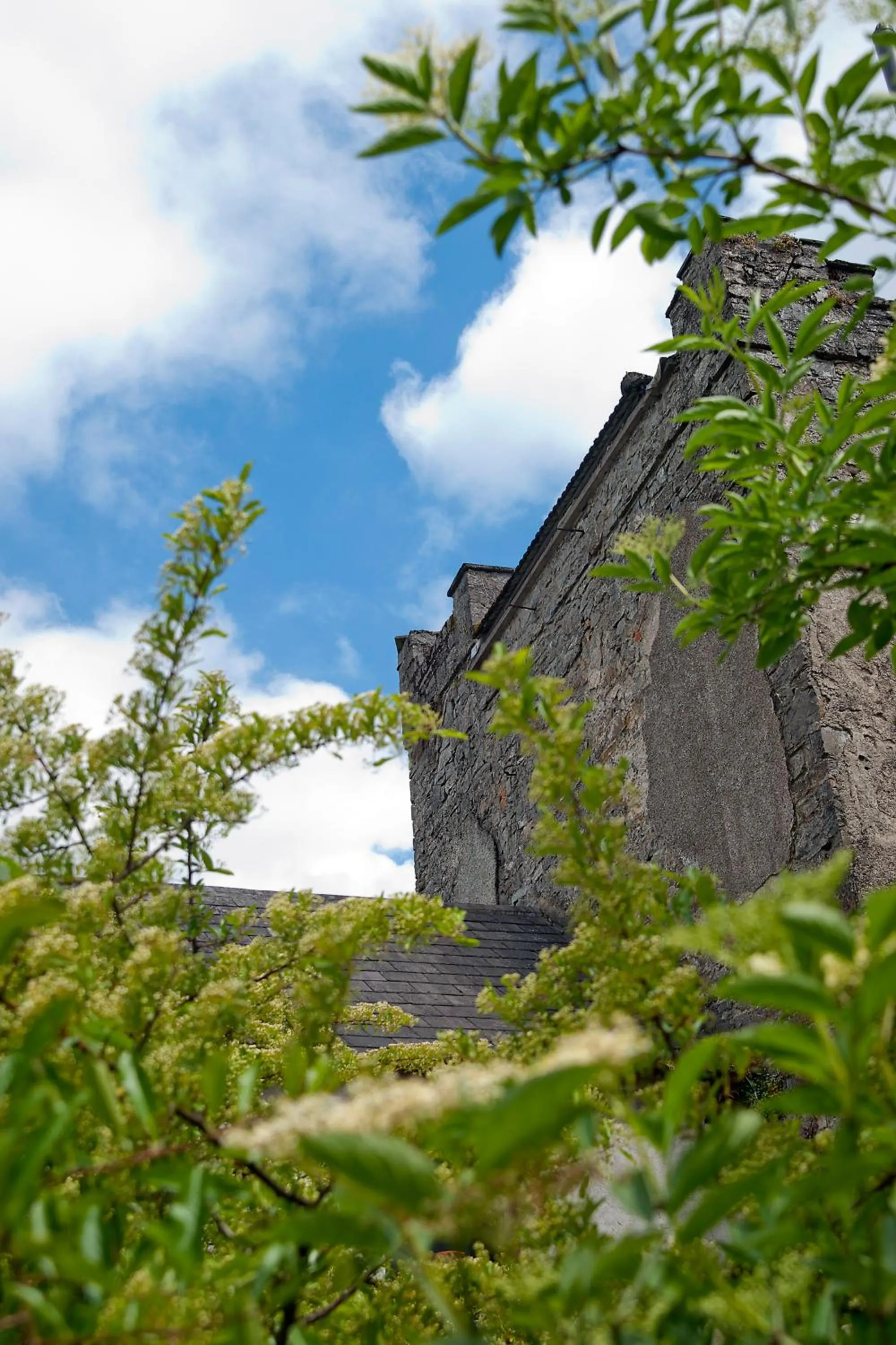 Natural landscape in Finnstown Castle Hotel