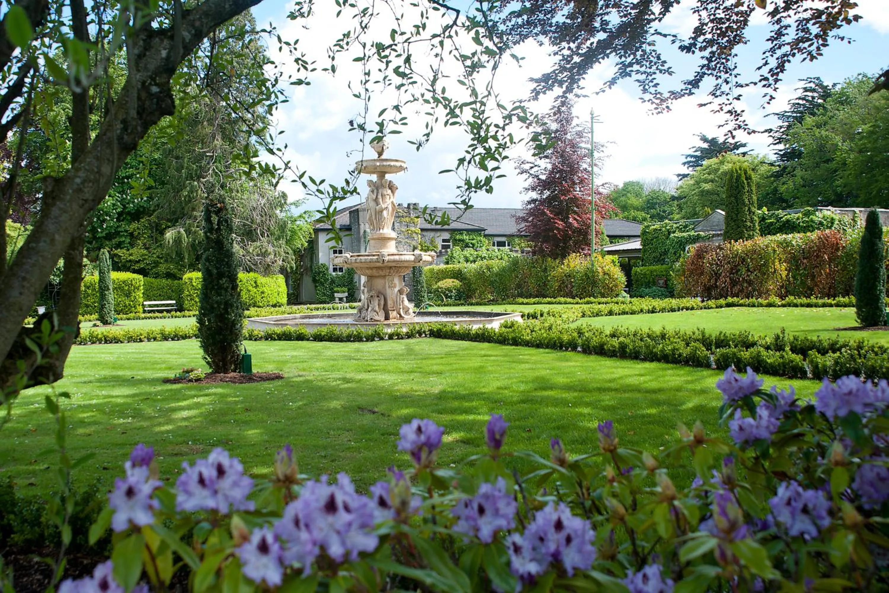 Natural landscape in Finnstown Castle Hotel