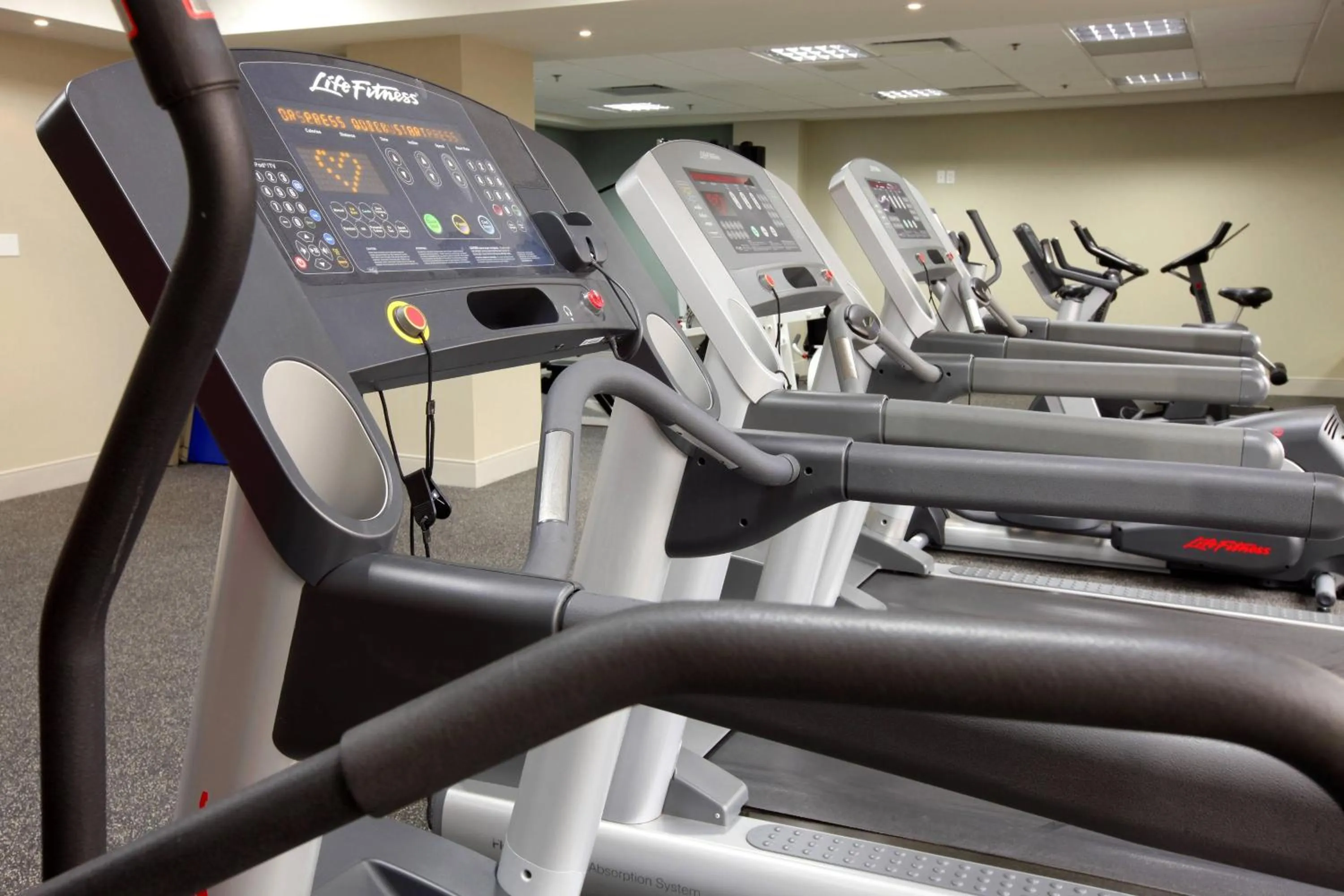 Fitness centre/facilities in Delta Hotels by Marriott Regina
