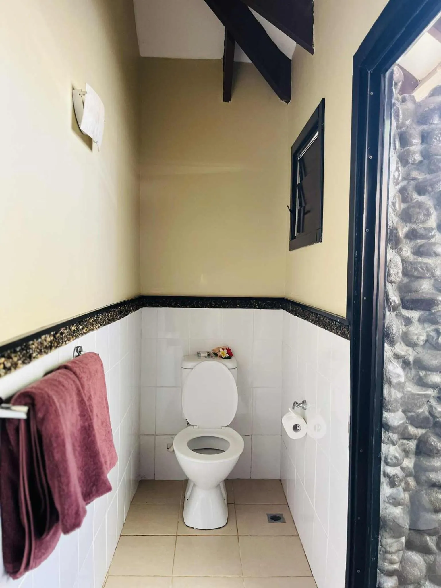 Toilet in Mana Island Resort & Spa - Fiji