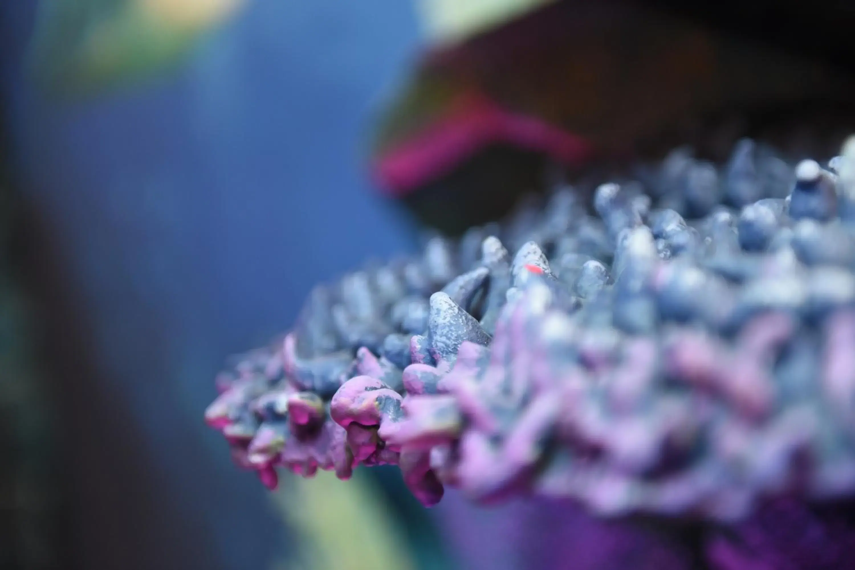 MagicSuite Guest House Roma Portuense MagicSuite Guest House Roma Portuense