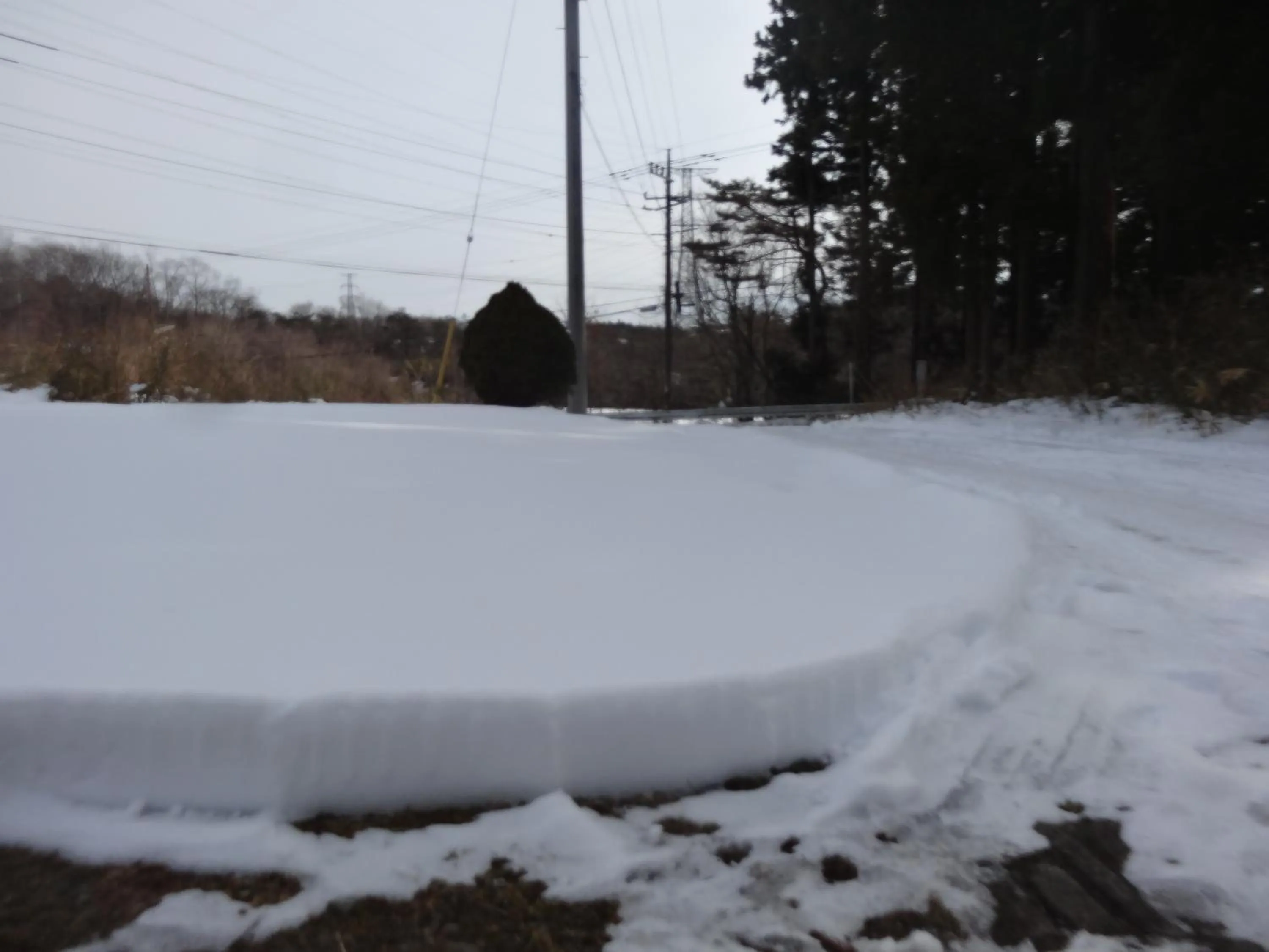 View (from property/room) in Gasthof Arutany