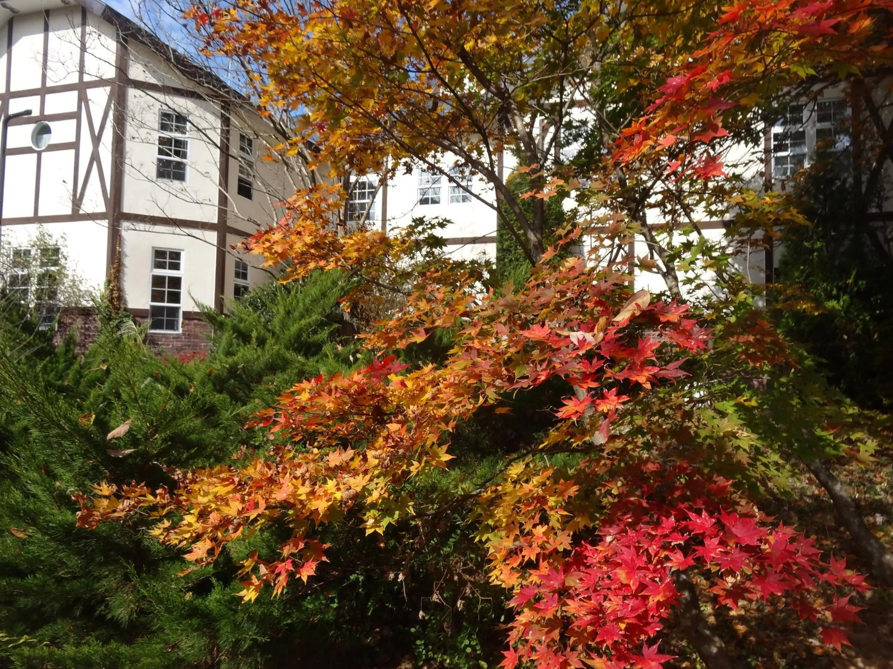 Property building in Gasthof Arutany