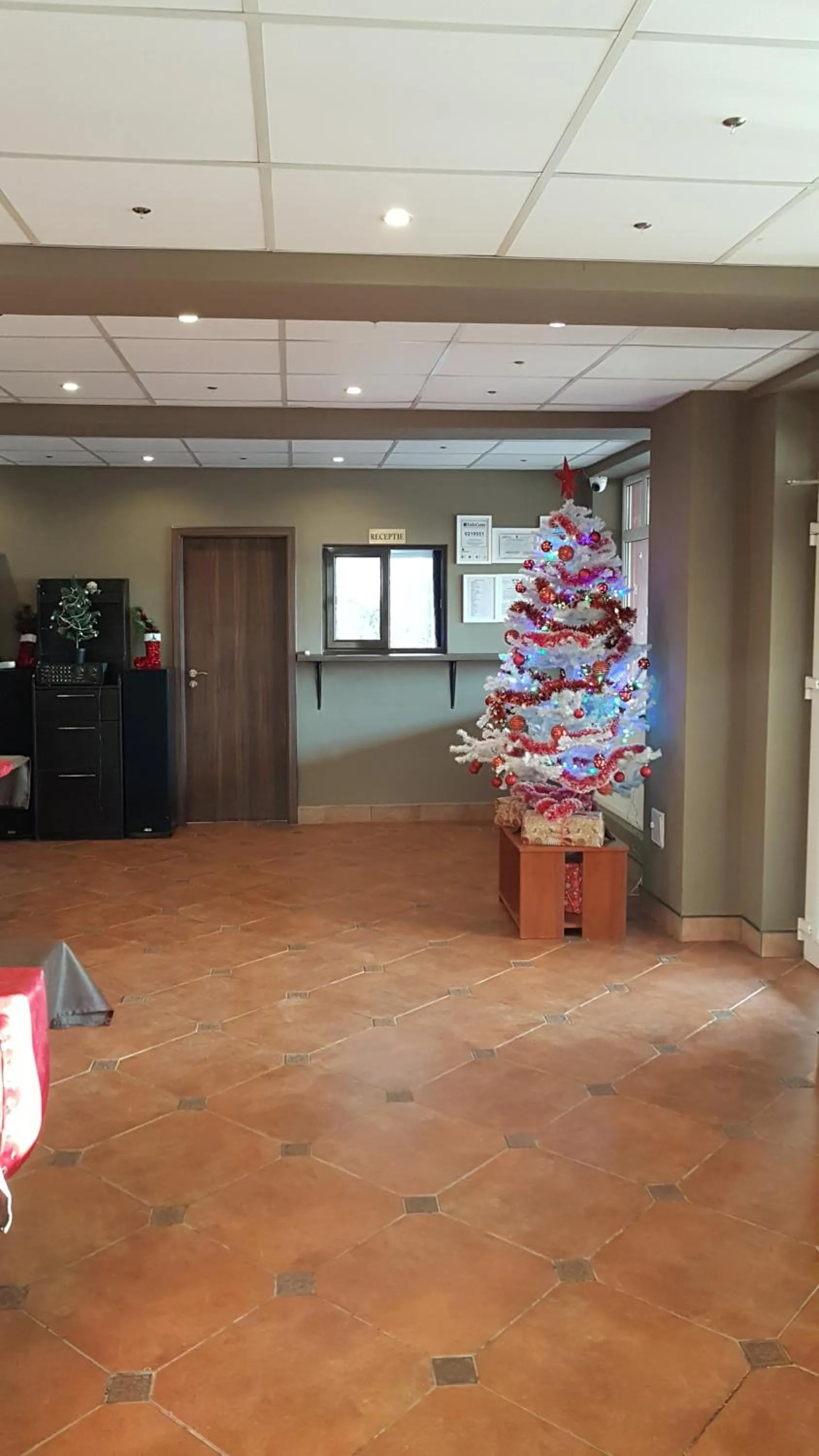 Hotel Viva