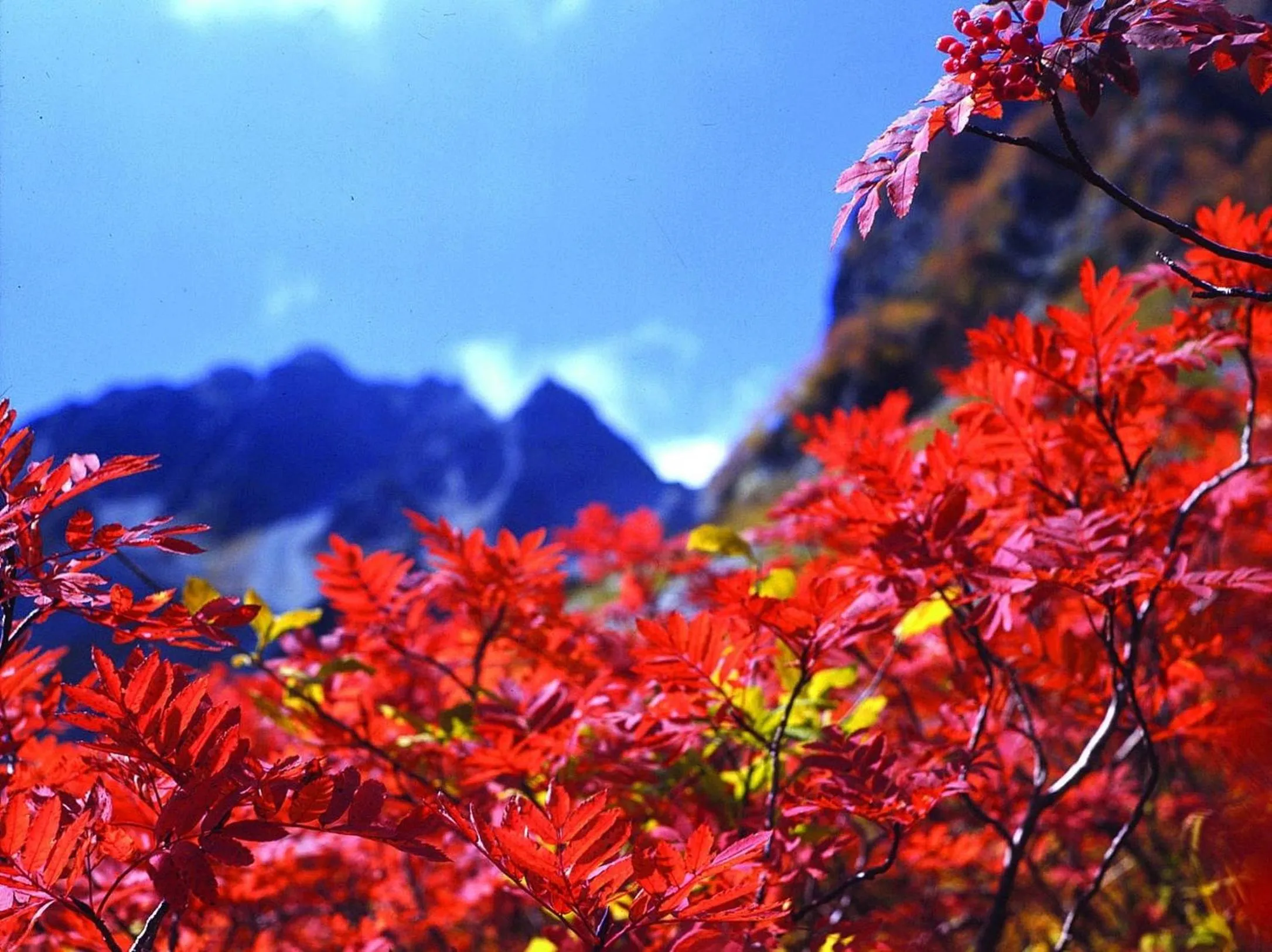Natural landscape in Kamikochi Hotel Shirakabaso