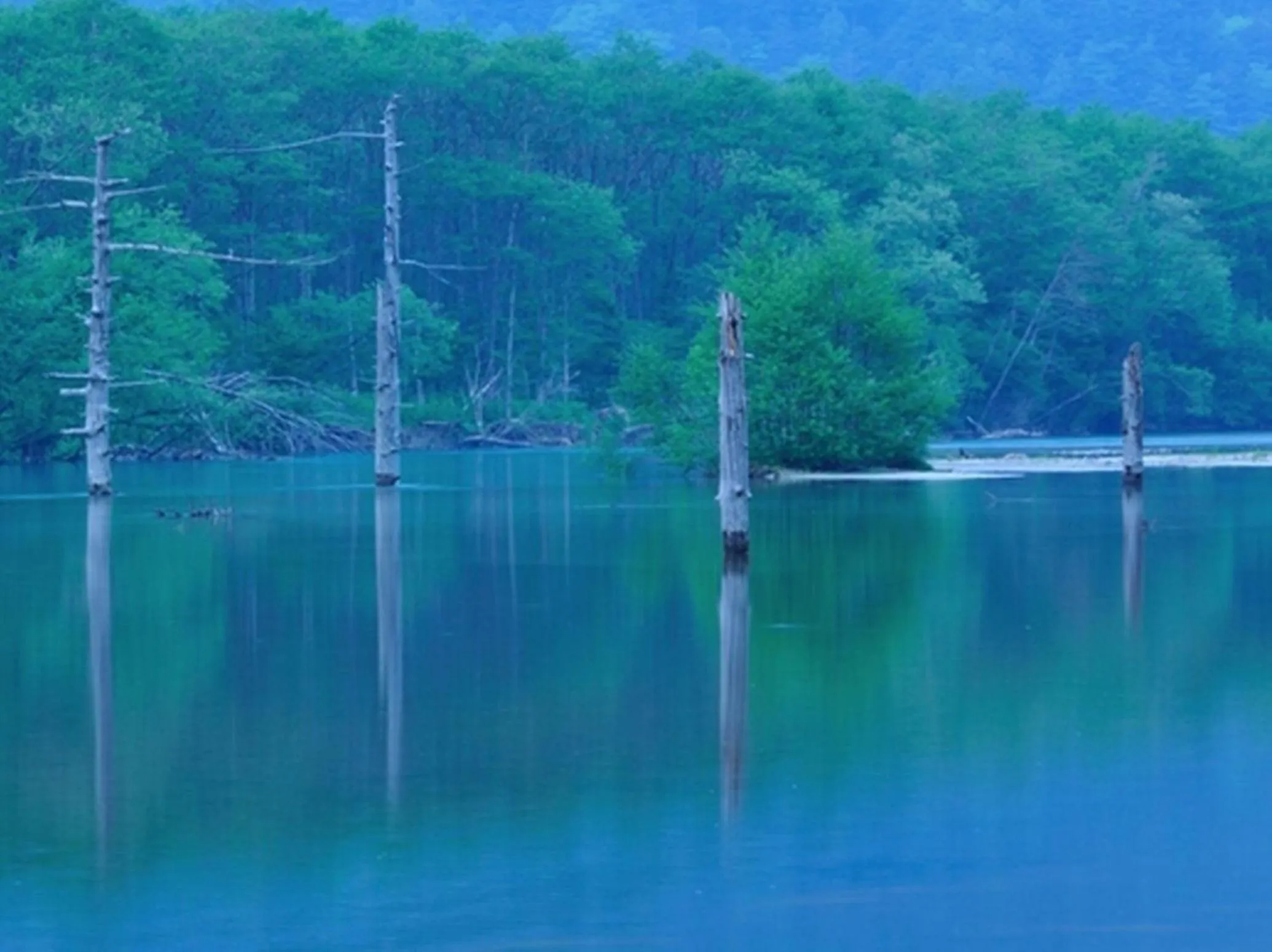 Natural landscape in Kamikochi Hotel Shirakabaso