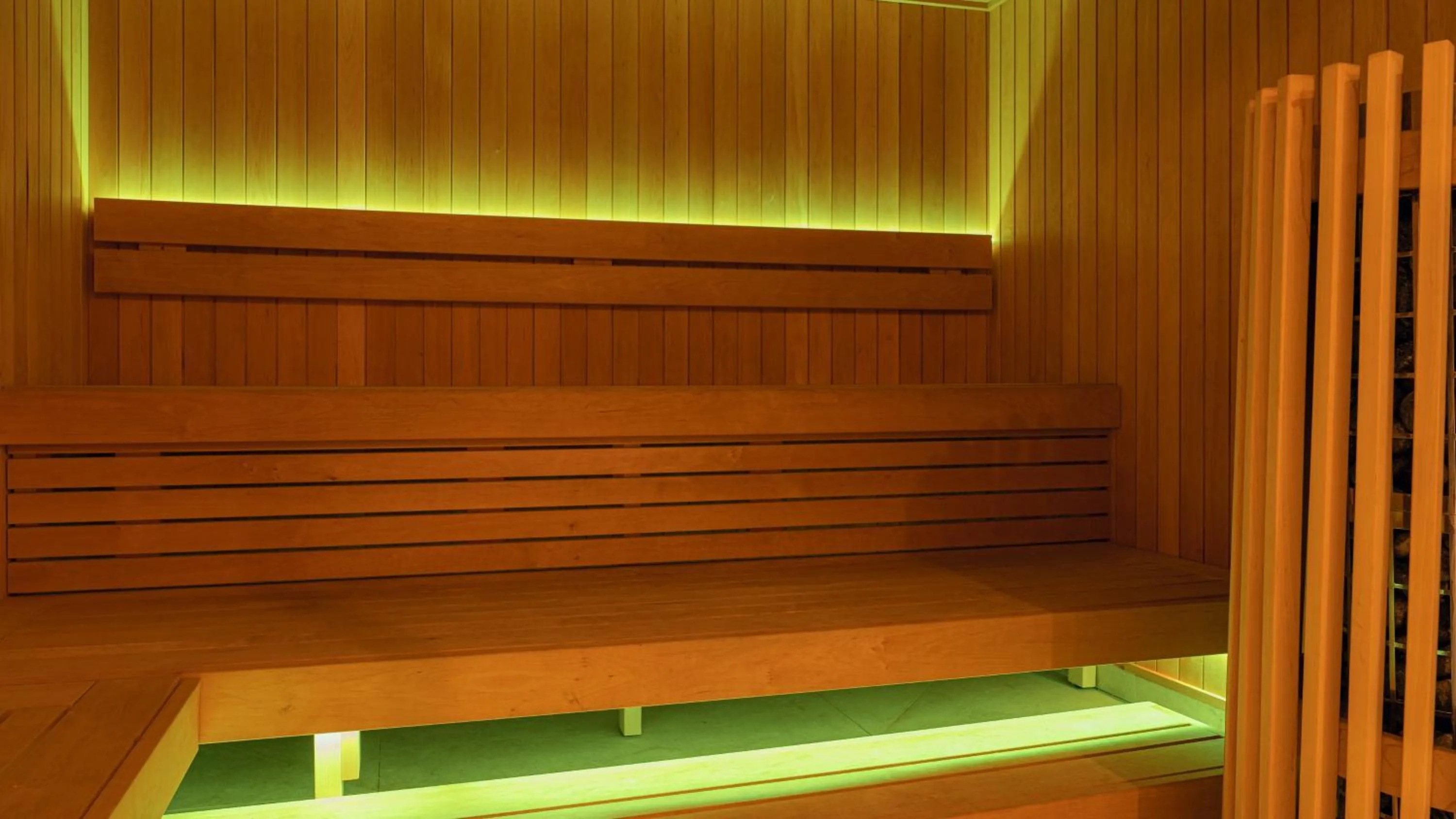 Sauna in Dunboyne Castle Hotel & Spa