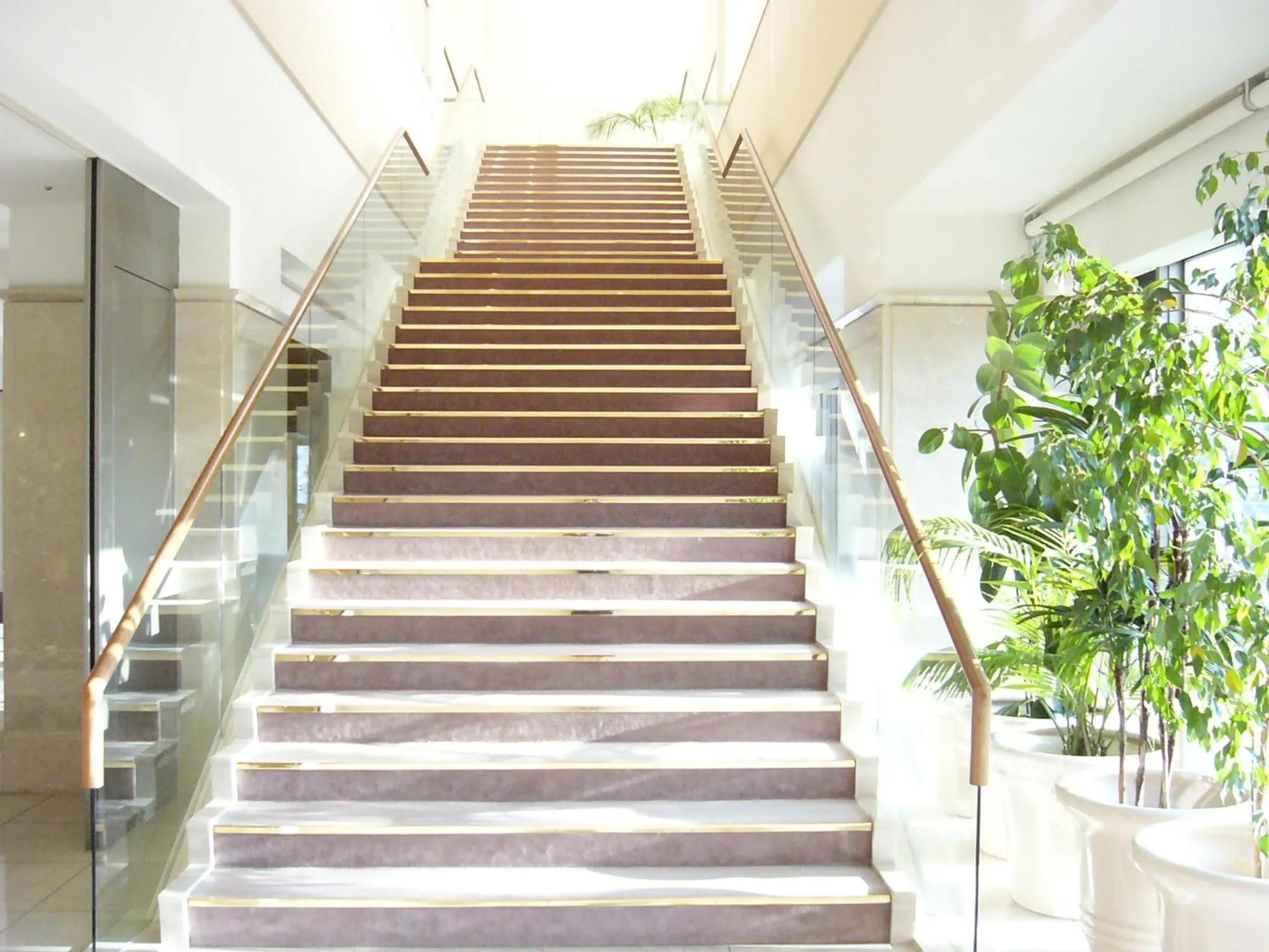 Area and facilities in Grand Hotel New Oji