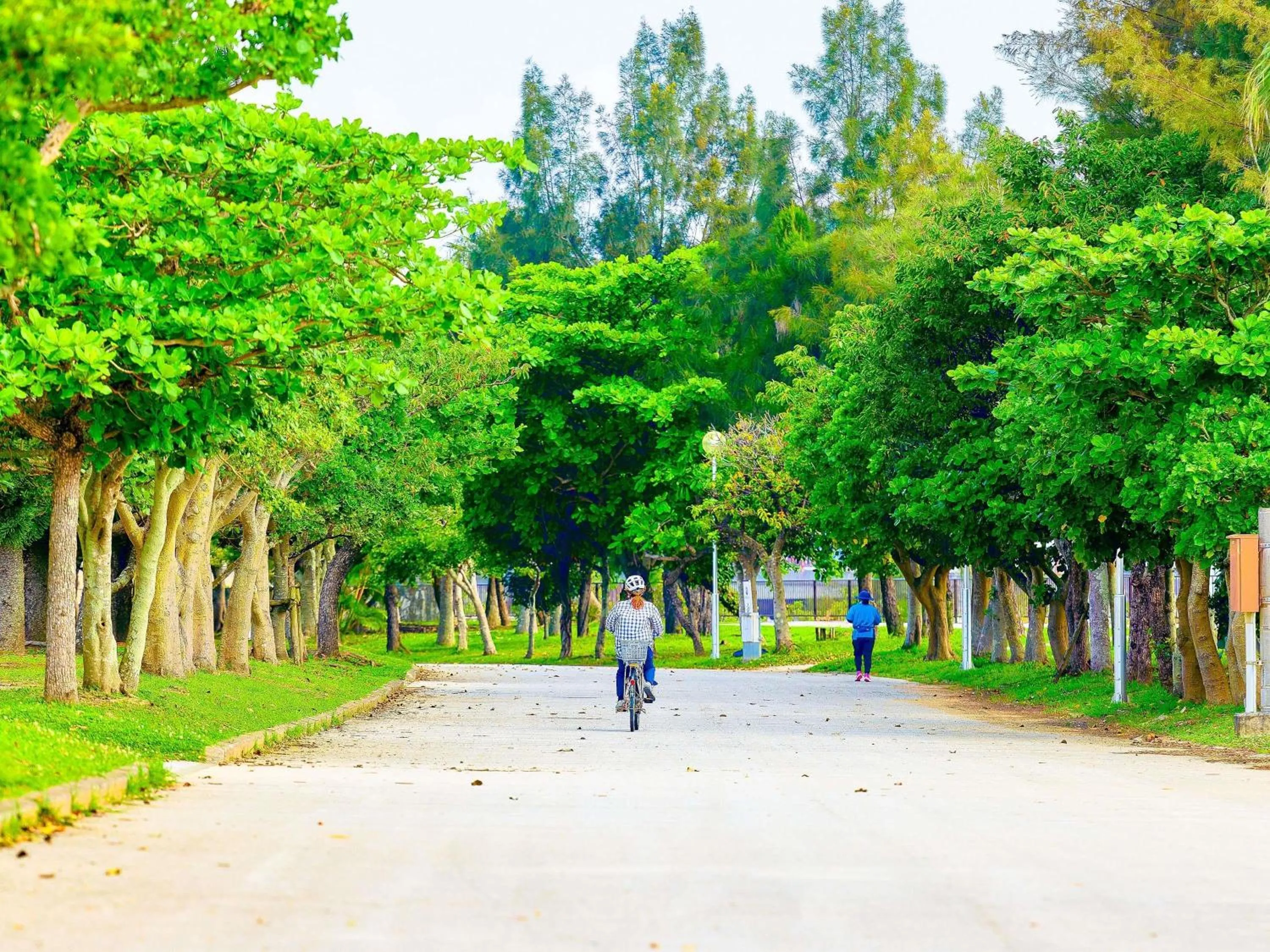 Other in Mercure Okinawa Naha