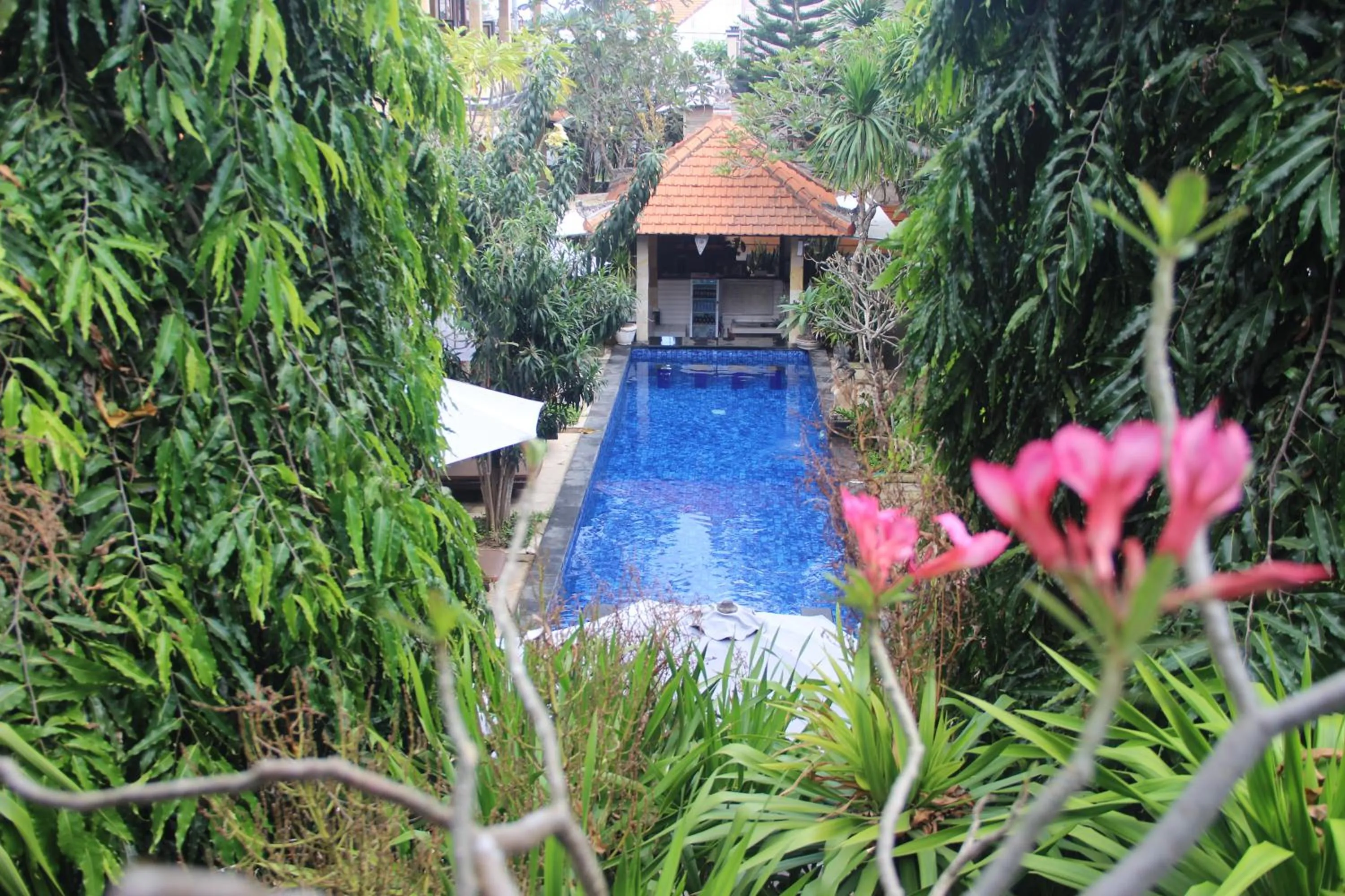 Pool view in Nitya Home Stay Lembongan