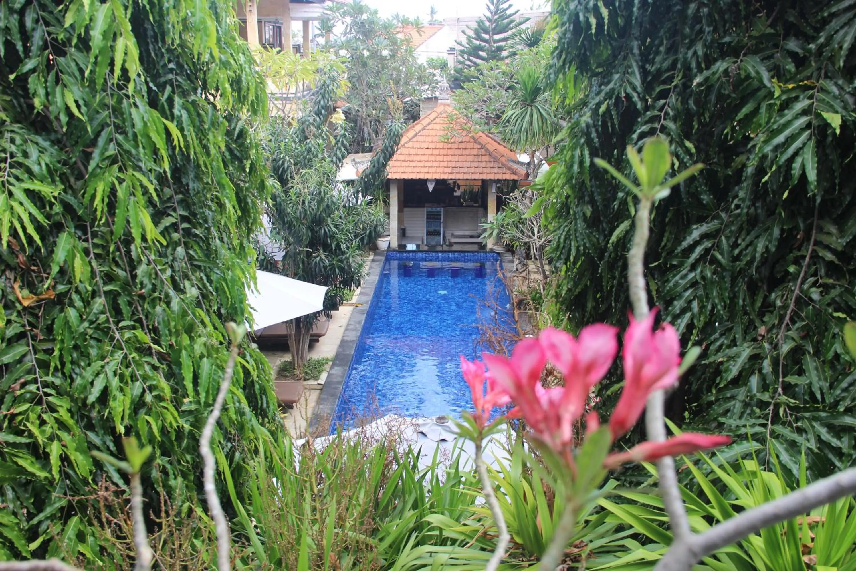 Pool view in Nitya Home Stay Lembongan