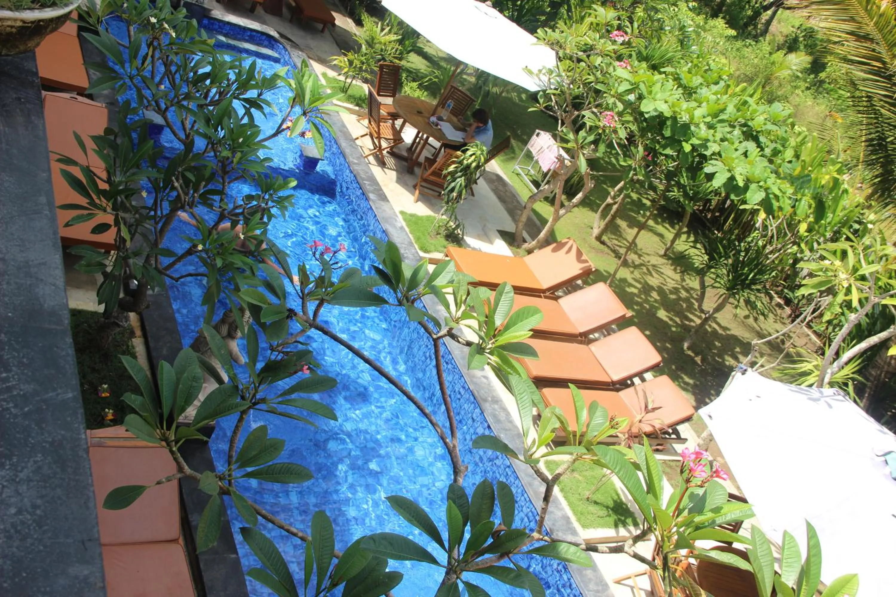 Swimming pool in Nitya Home Stay Lembongan
