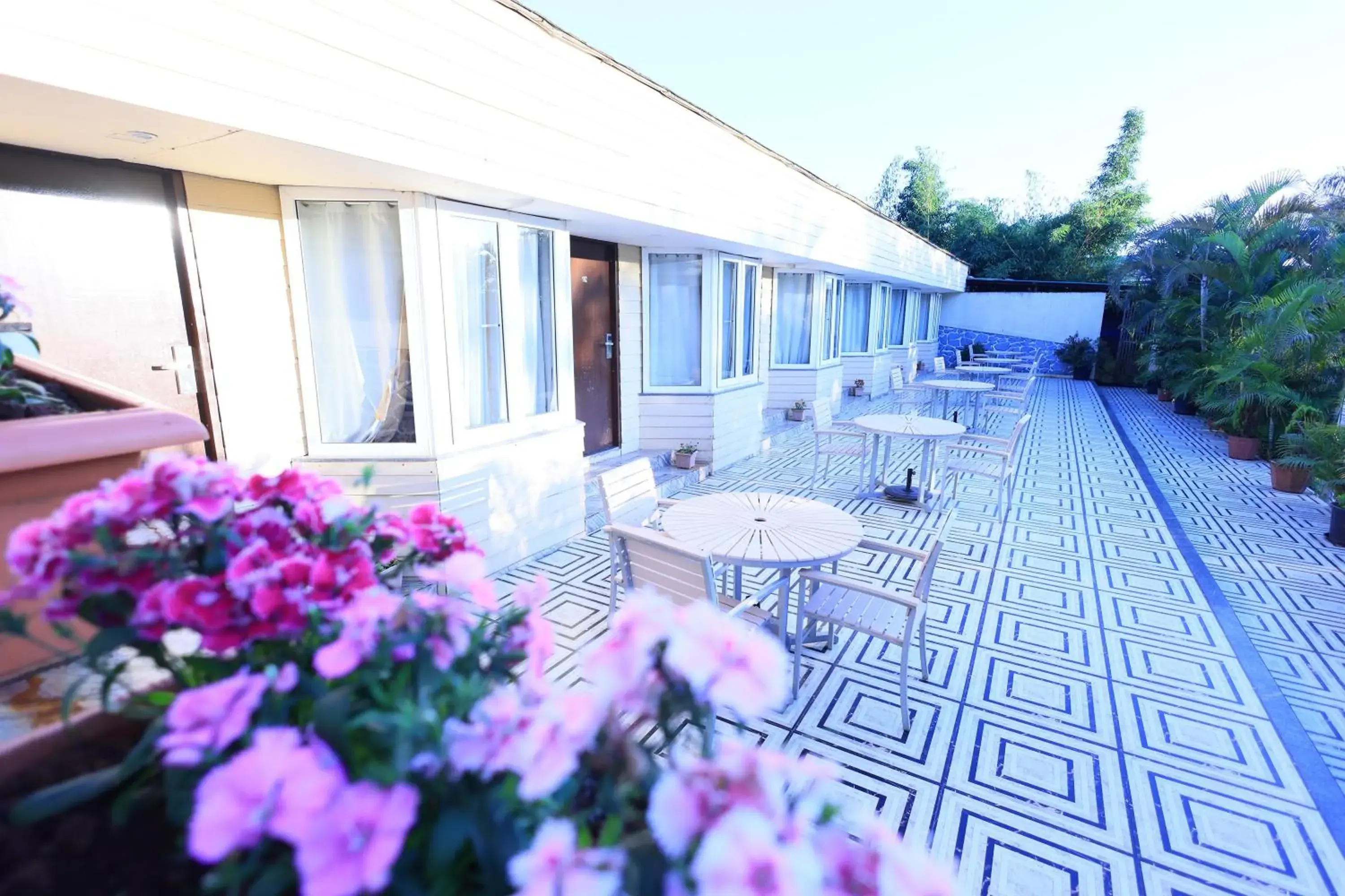 Hotel King Garden Hotel King Garden