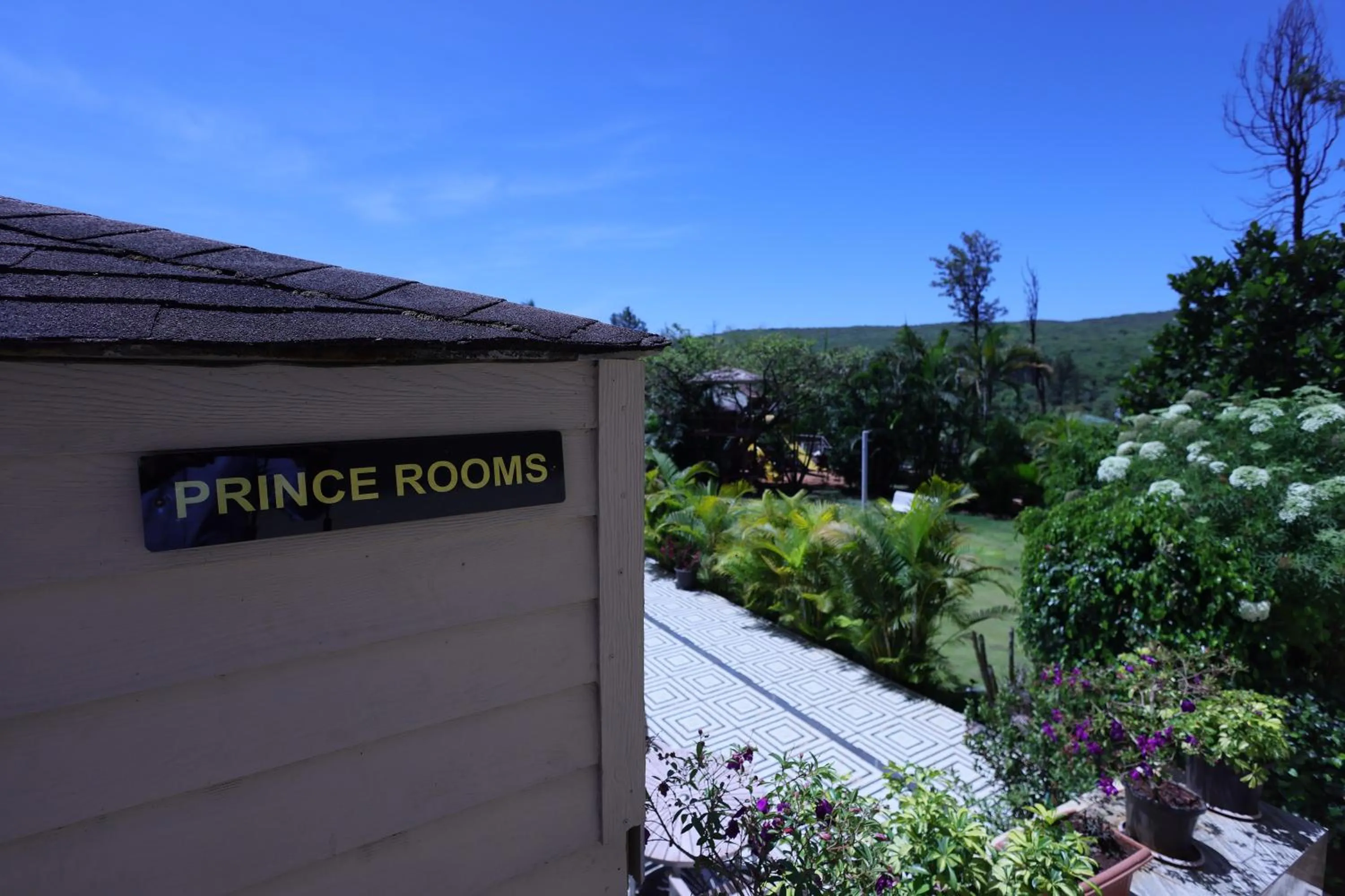Garden view in Hotel King Garden