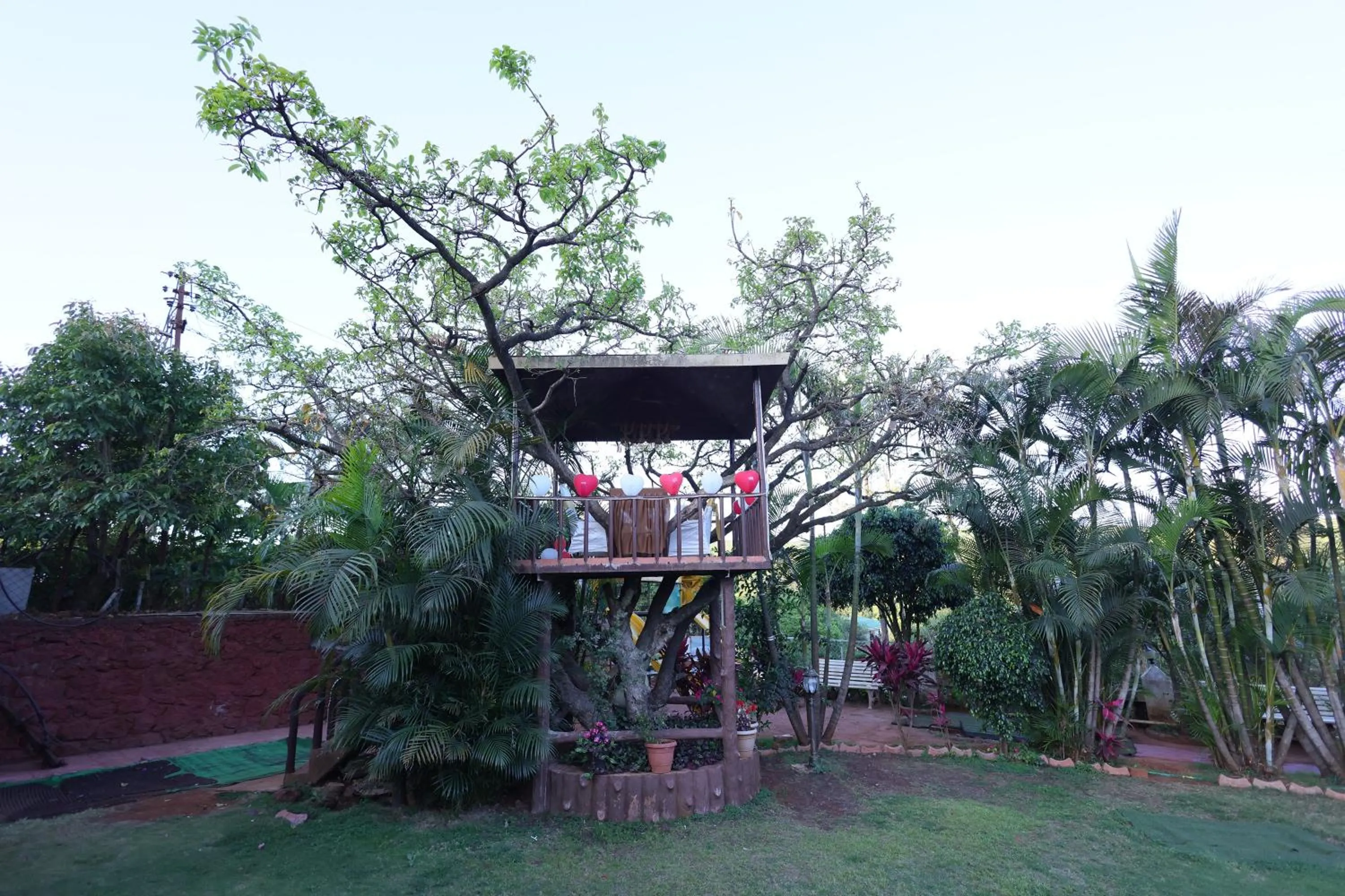 Garden view in Hotel King Garden