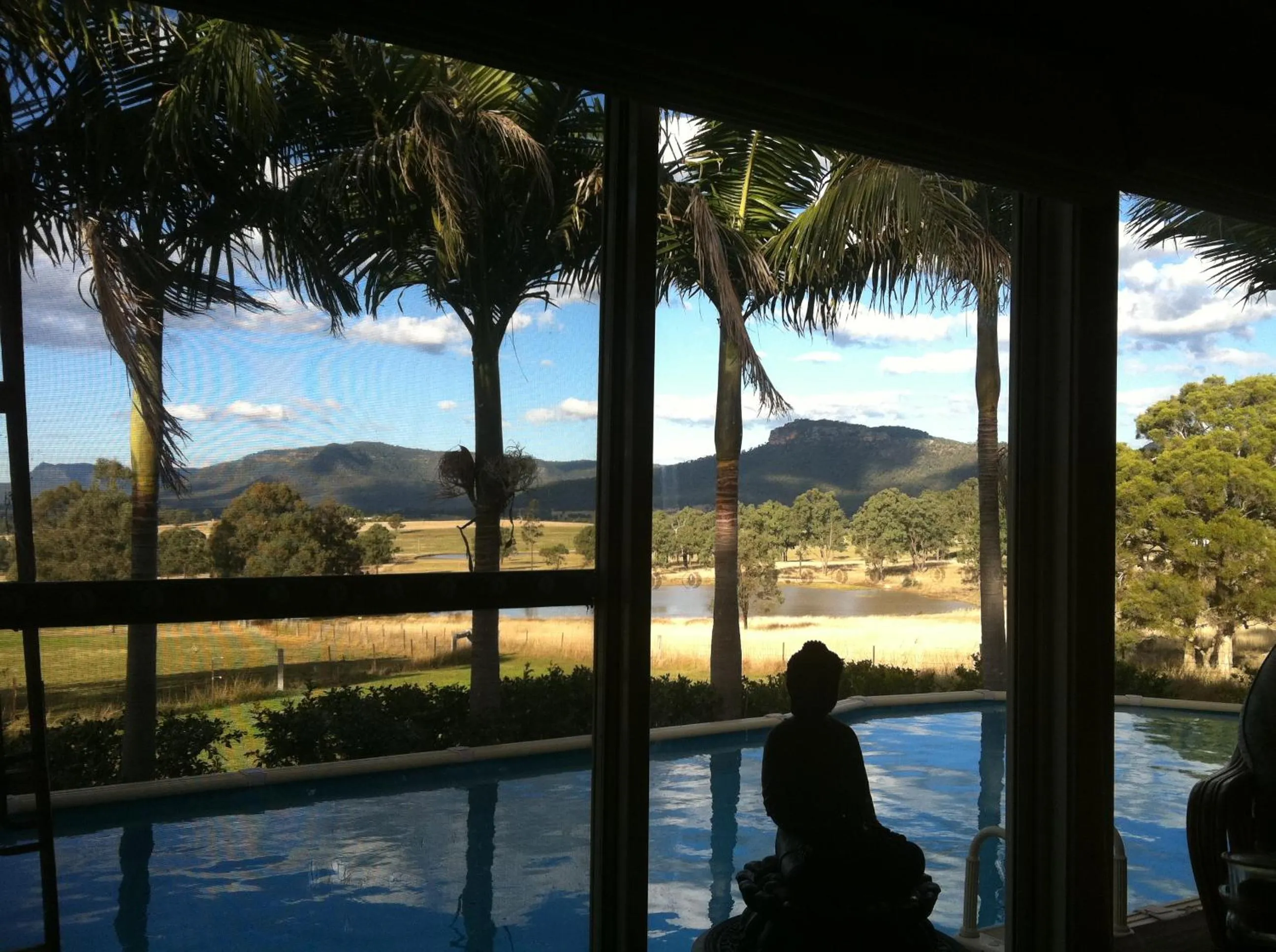 Day in Starline Alpacas Farmstay Resort