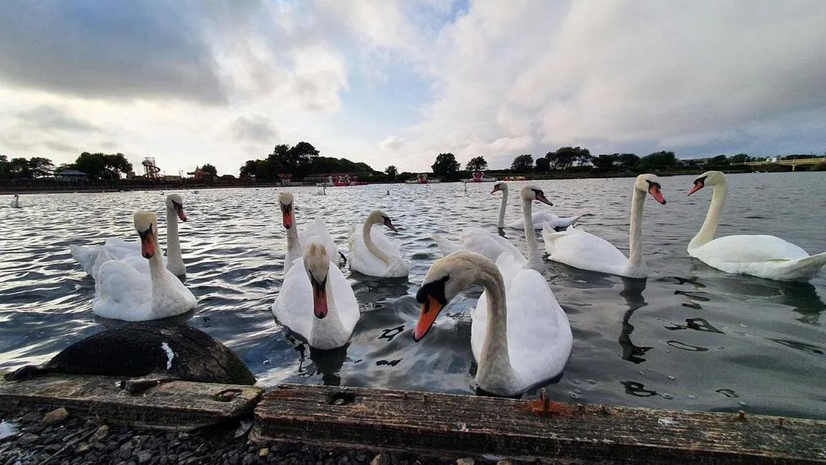 Activities in Beach House 3 Bed Penthouse Apartment