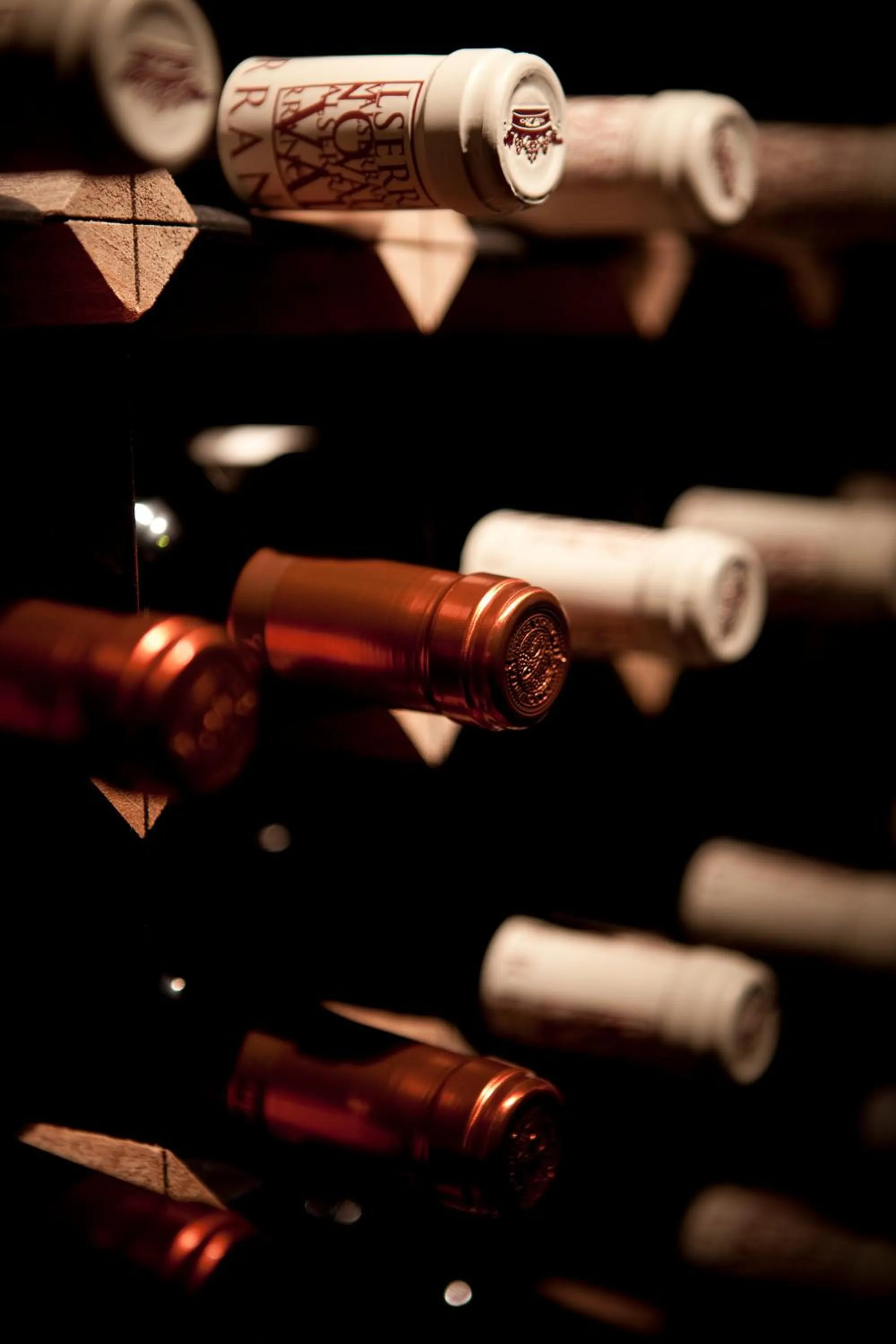 Alcoholic drinks in Hotel IRARAGORRI