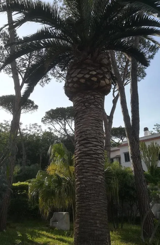 Property building in VILLA ISCLA maison d'hôtes