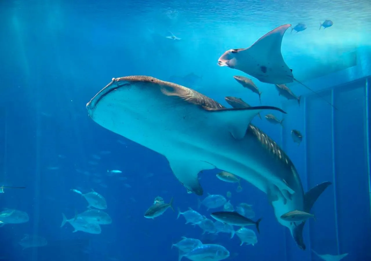 Nearby landmark in Hotel Mahaina Wellness Resorts Okinawa