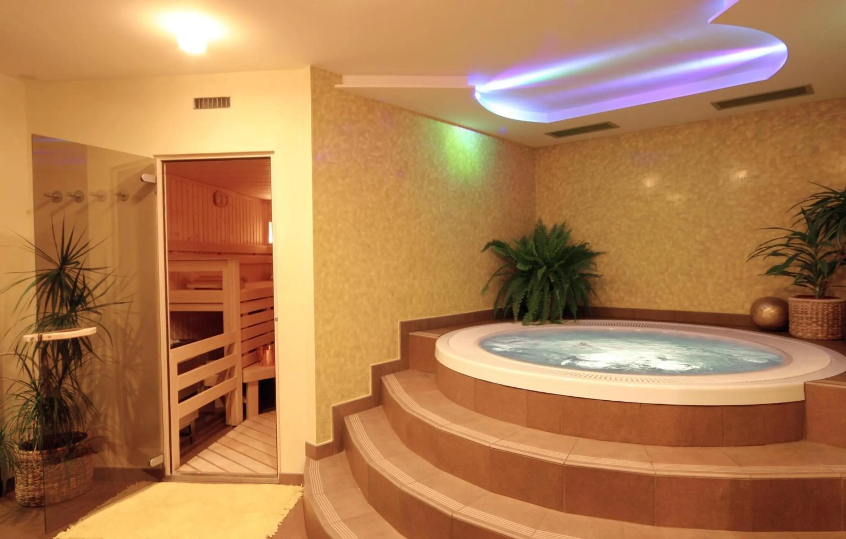 Hot Tub in Alpine Life Hotel Anabel