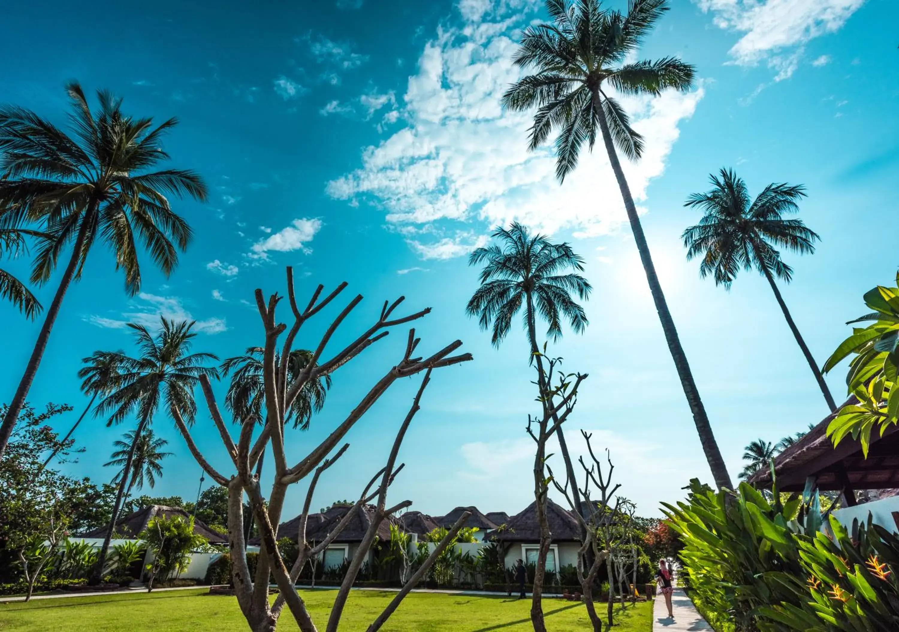 Garden in Living Asia Resort and Spa