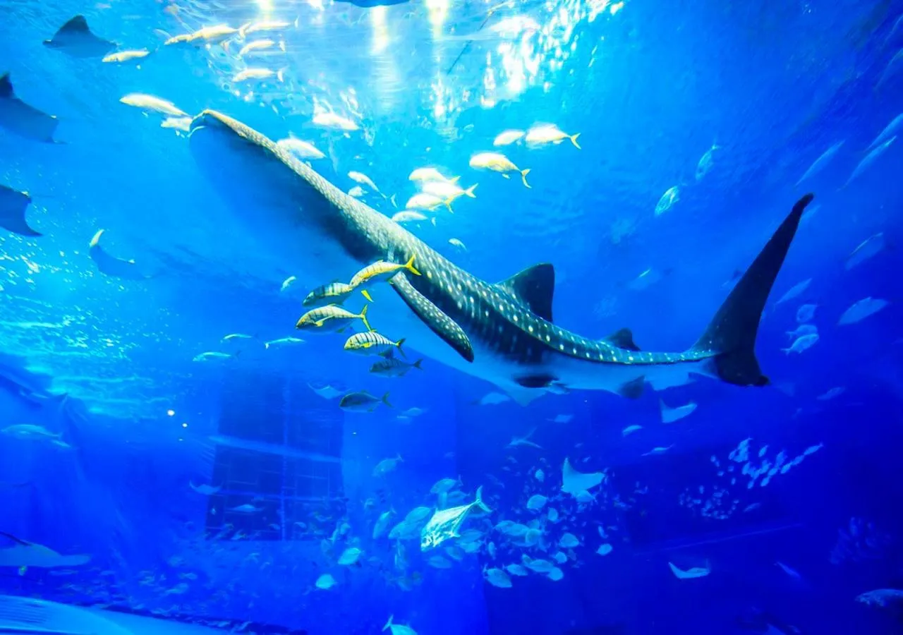 Nearby landmark in Hotel Yugaf Inn Okinawa