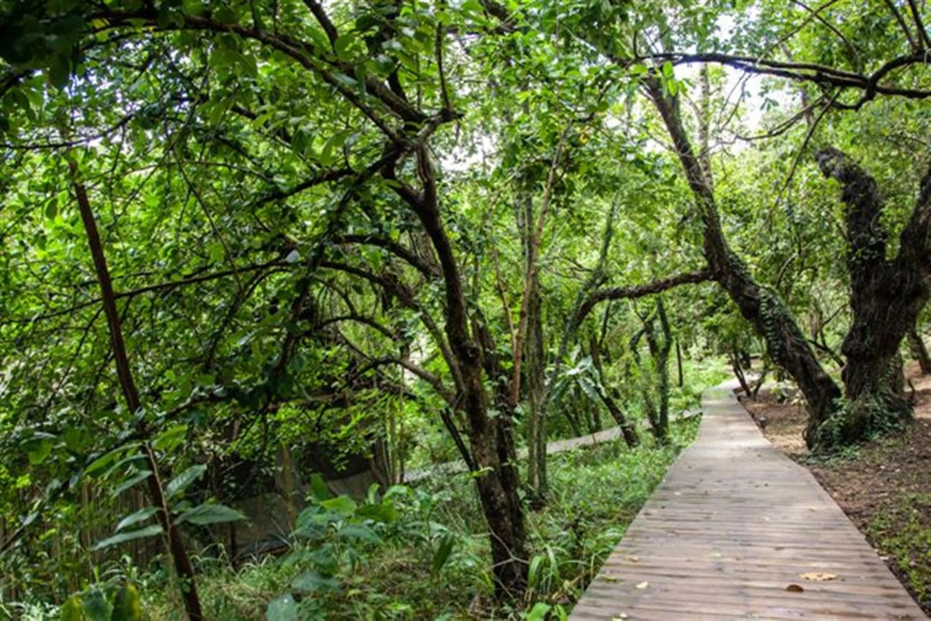 Natural landscape in Summerfields Rose Retreat and Spa