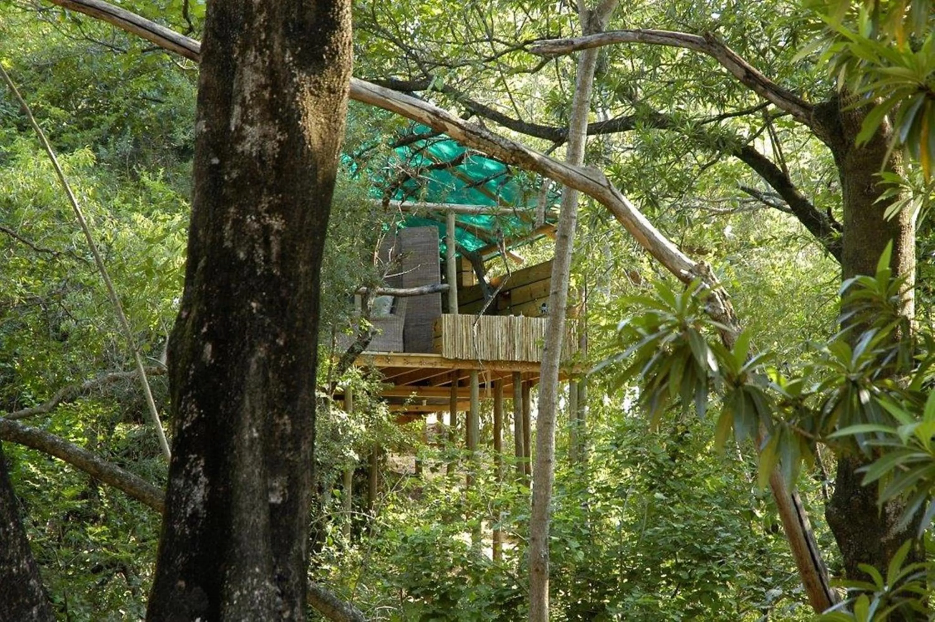 Natural landscape in Summerfields Rose Retreat and Spa