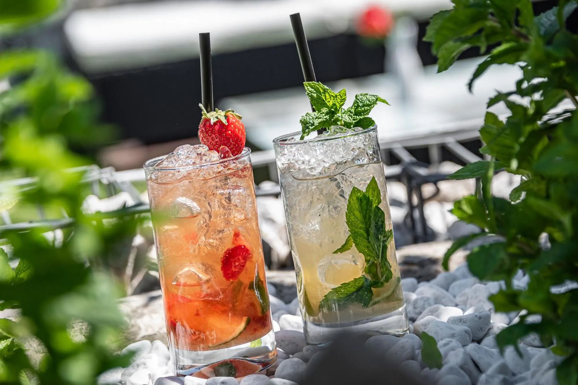 Drinks in Hotel Wiedenhofer