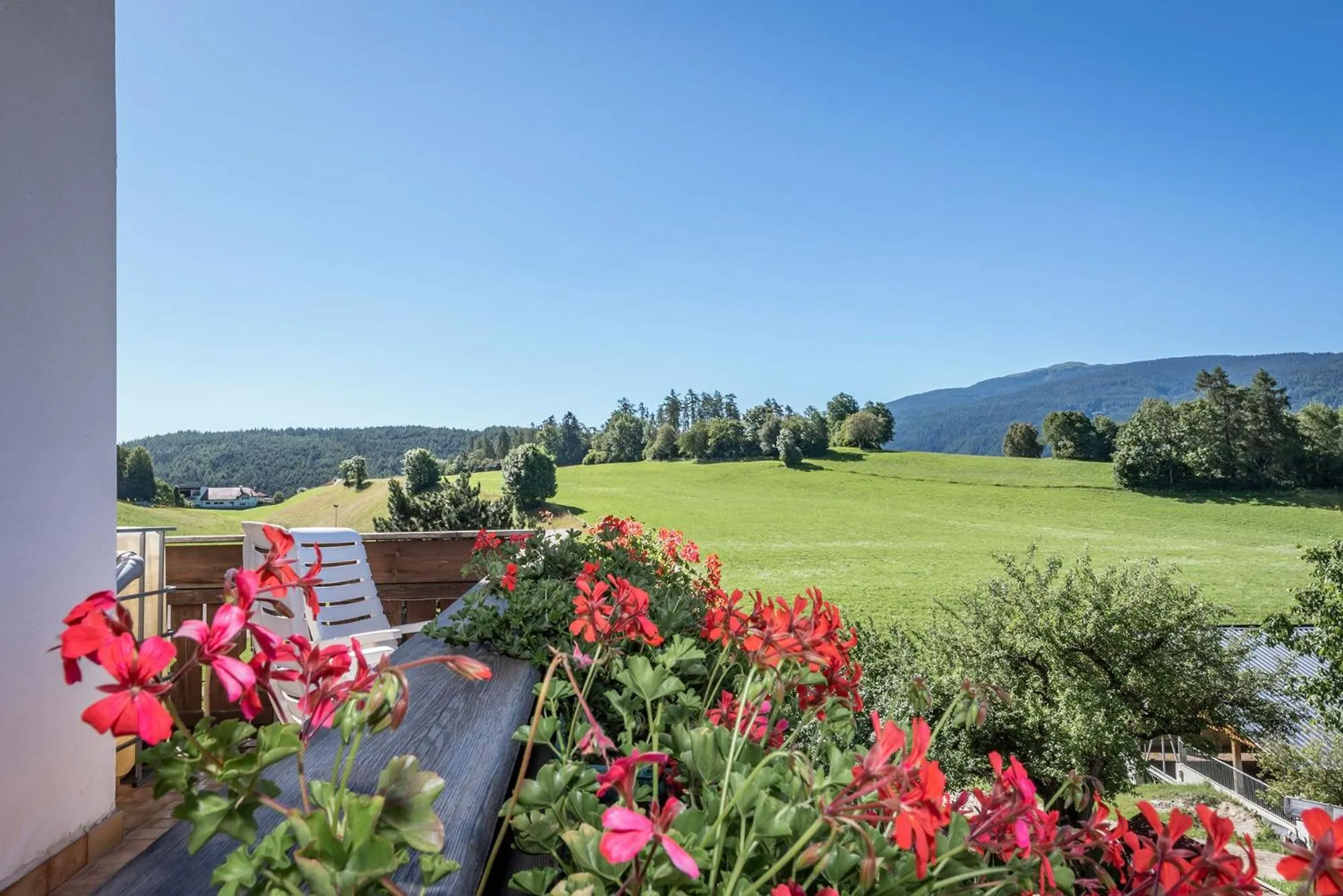 Natural landscape in Hotel Wiedenhofer