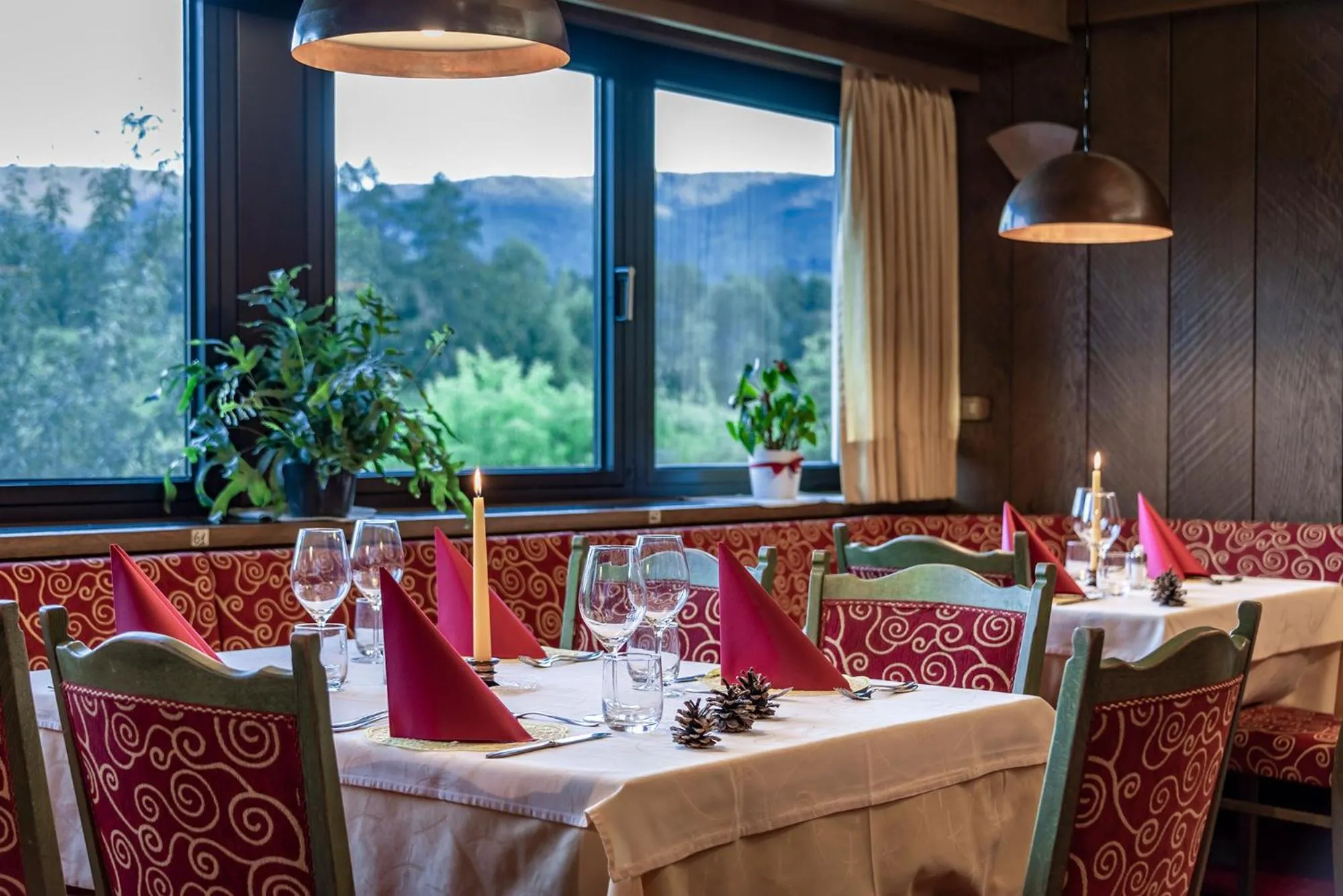 Restaurant/places to eat in Hotel Wiedenhofer