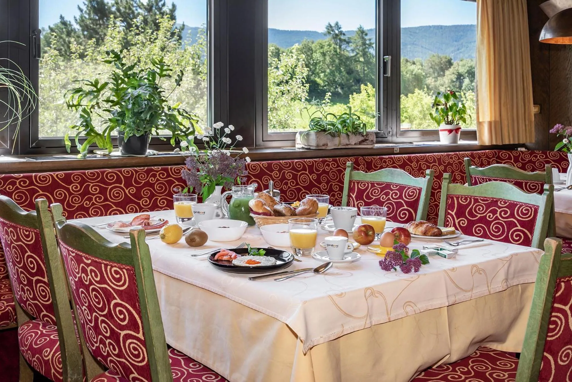Food and drinks in Hotel Wiedenhofer