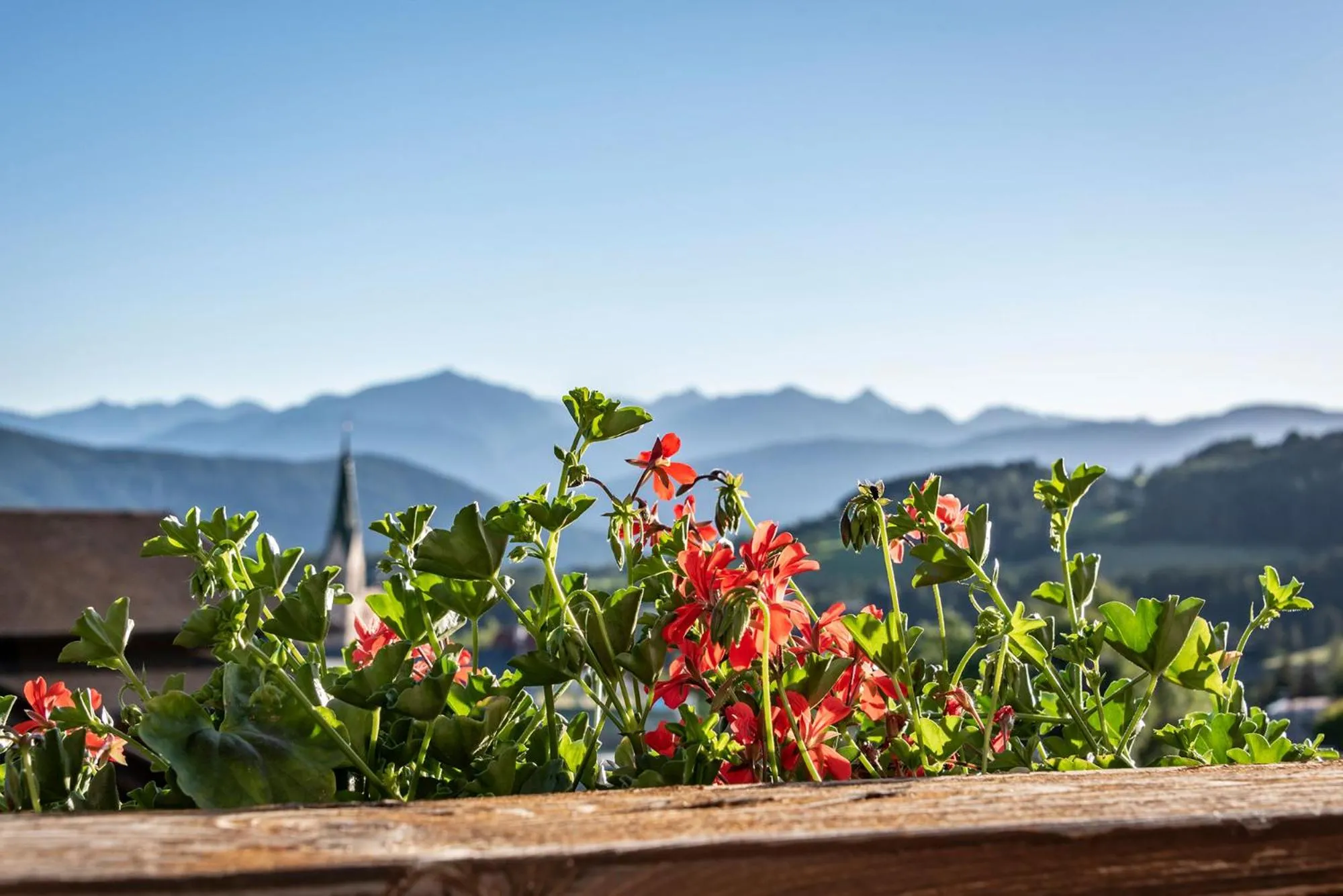 Mountain view in Hotel Wiedenhofer