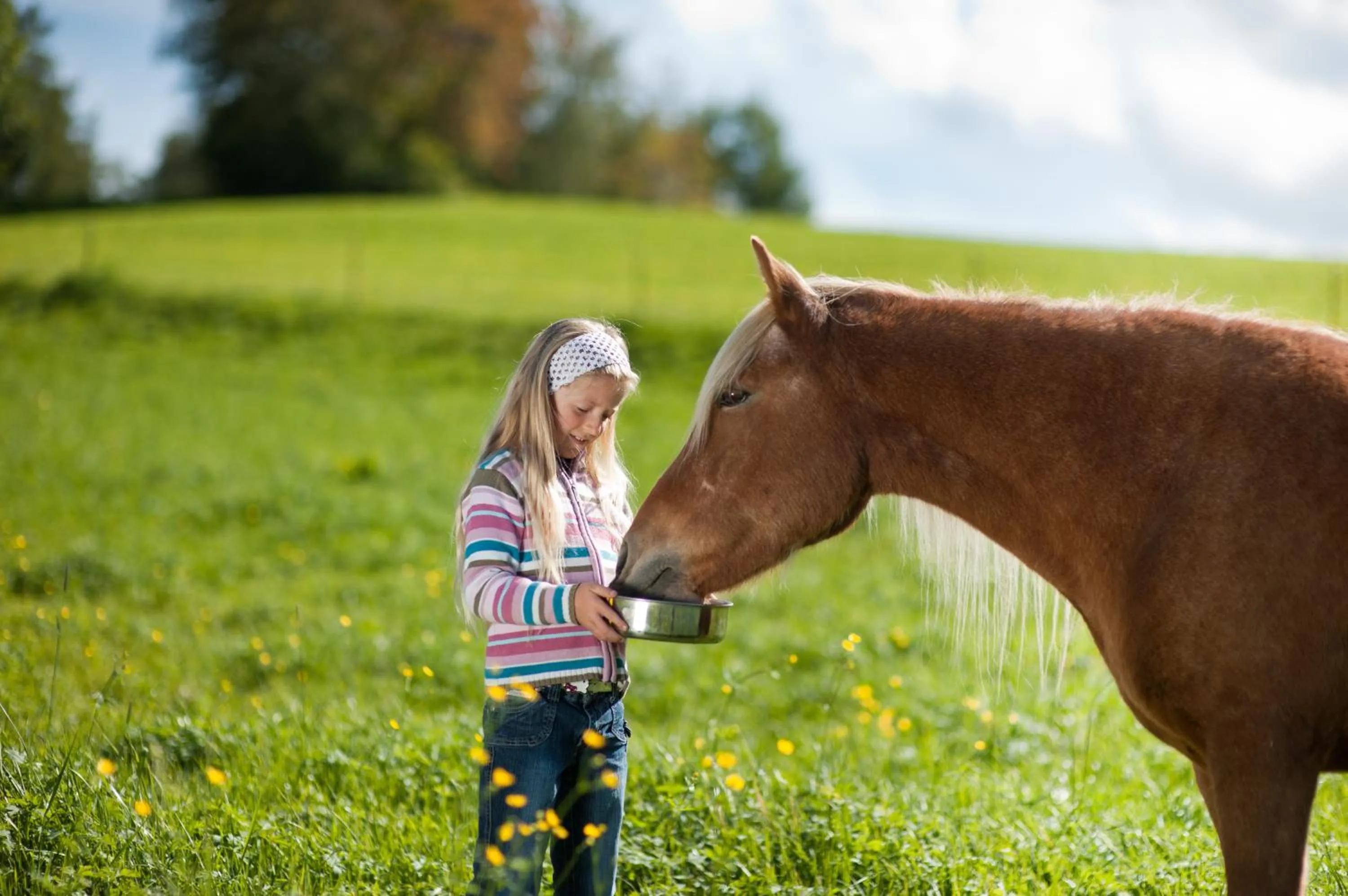 Horse-riding in Hotel Wiedenhofer