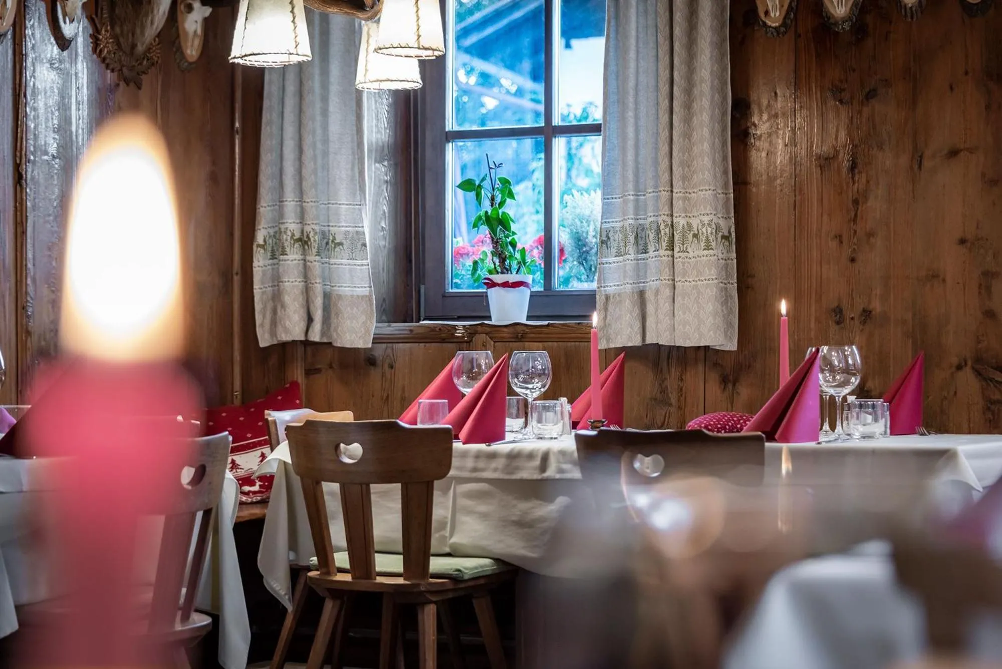 Restaurant/places to eat in Hotel Wiedenhofer