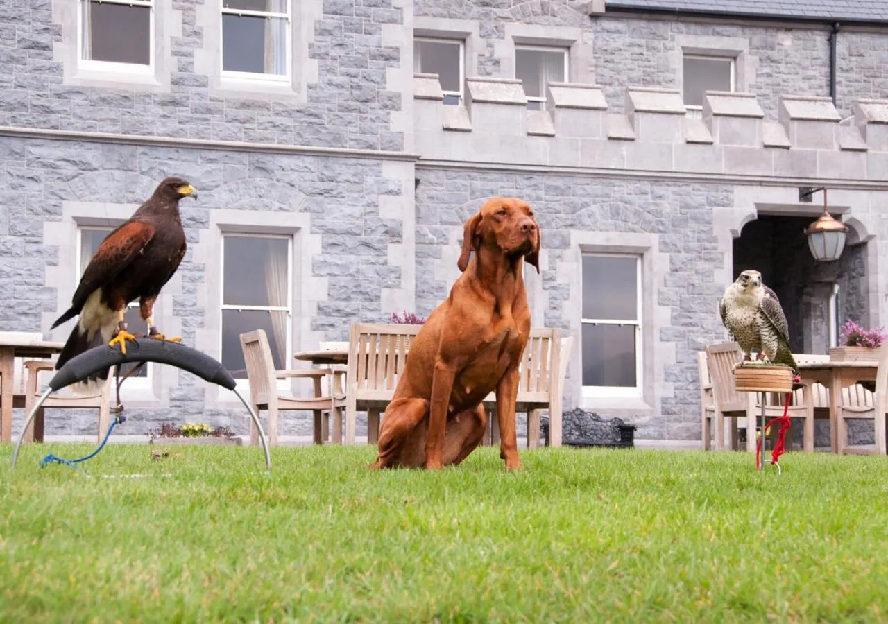 Other in Mount Falcon Estate