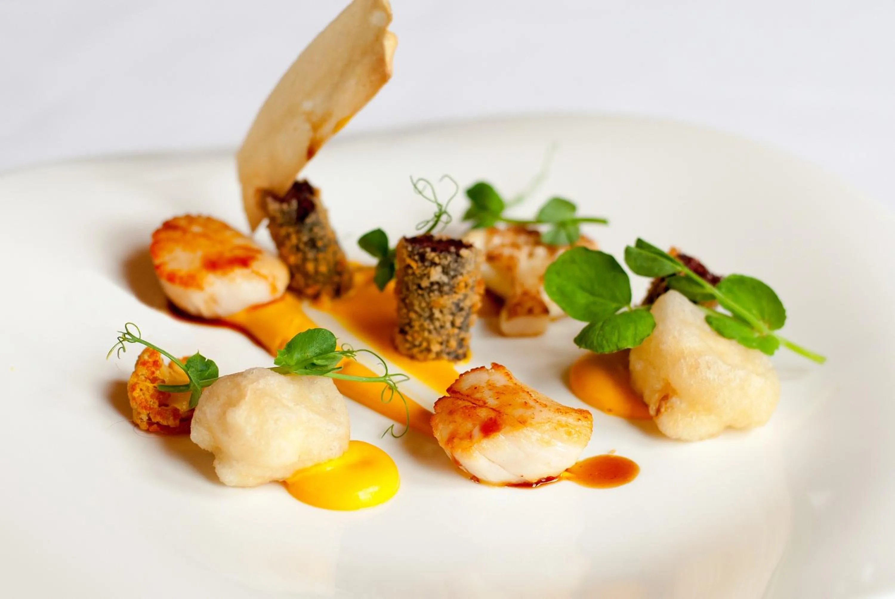 Food close-up in Mount Falcon Estate