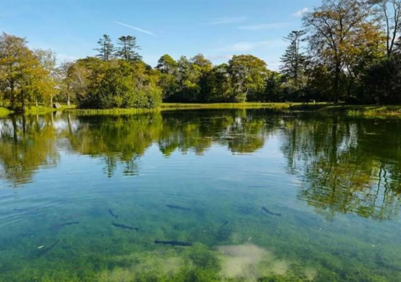 Natural landscape in Mount Falcon Estate