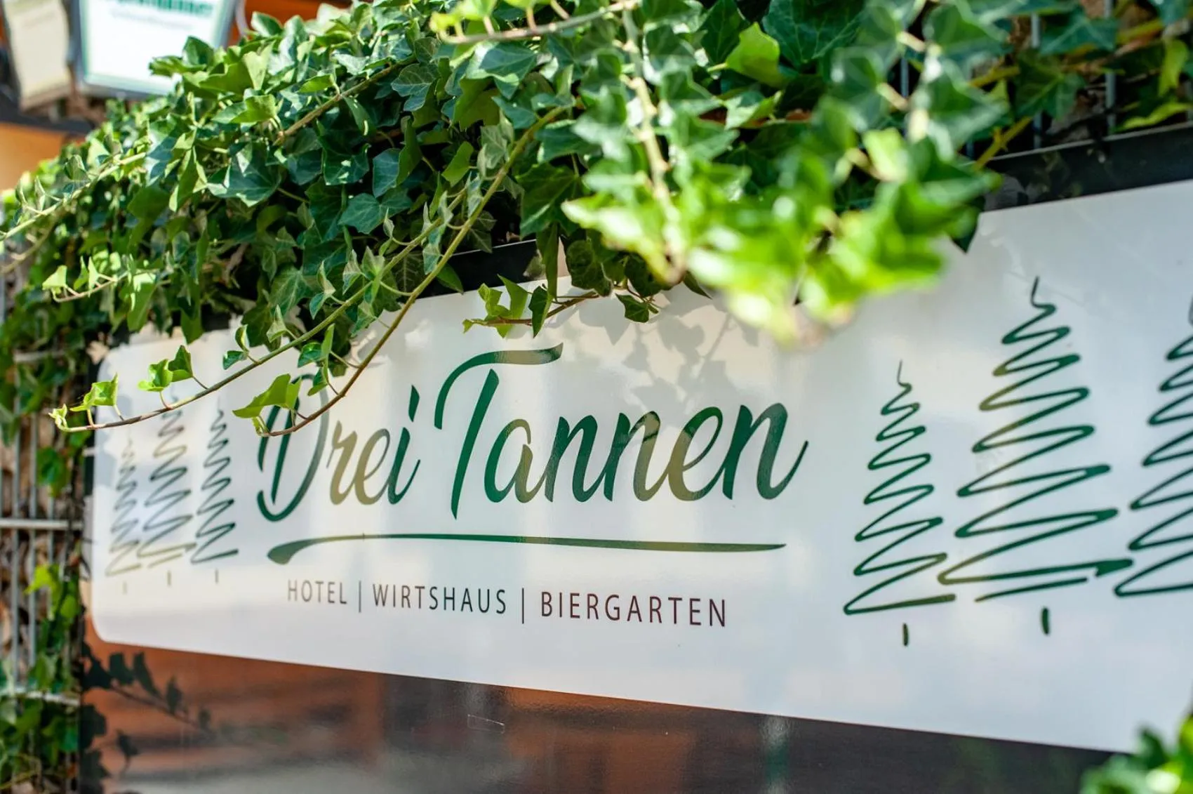 Facade/entrance in Hotel Drei Tannen