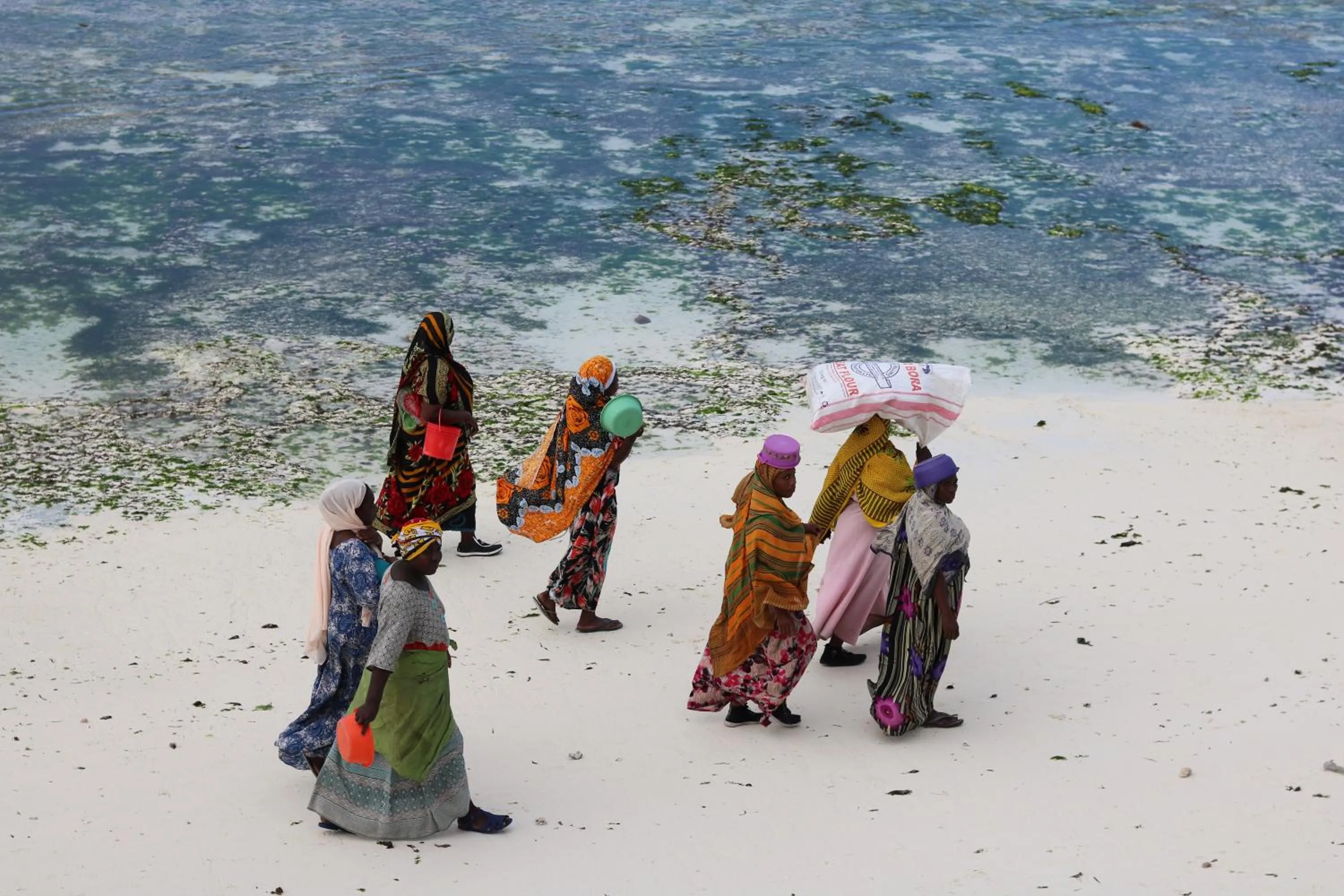 Beach in Essque Zalu Zanzibar