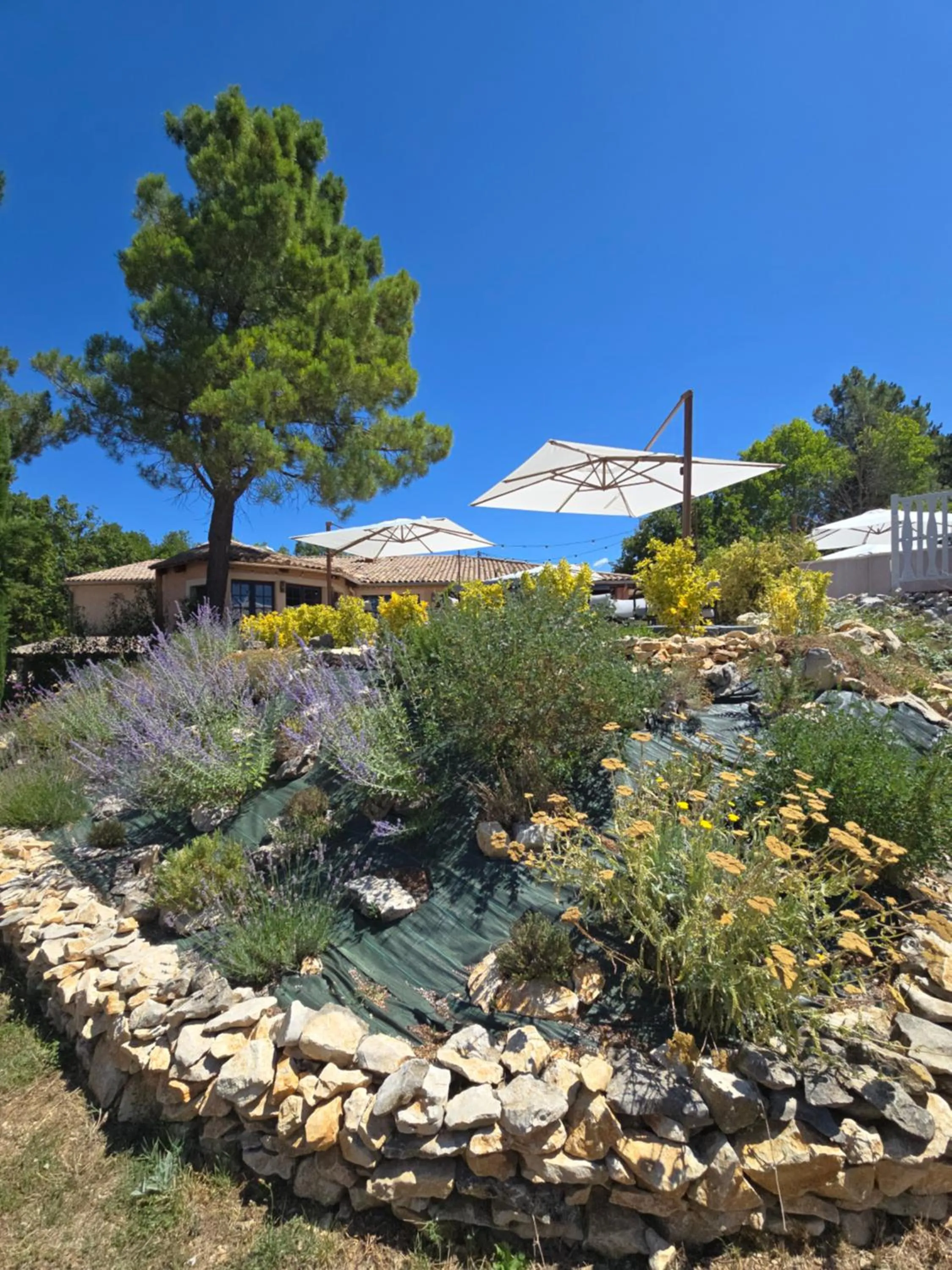 Garden in Domaine du Val de Sault