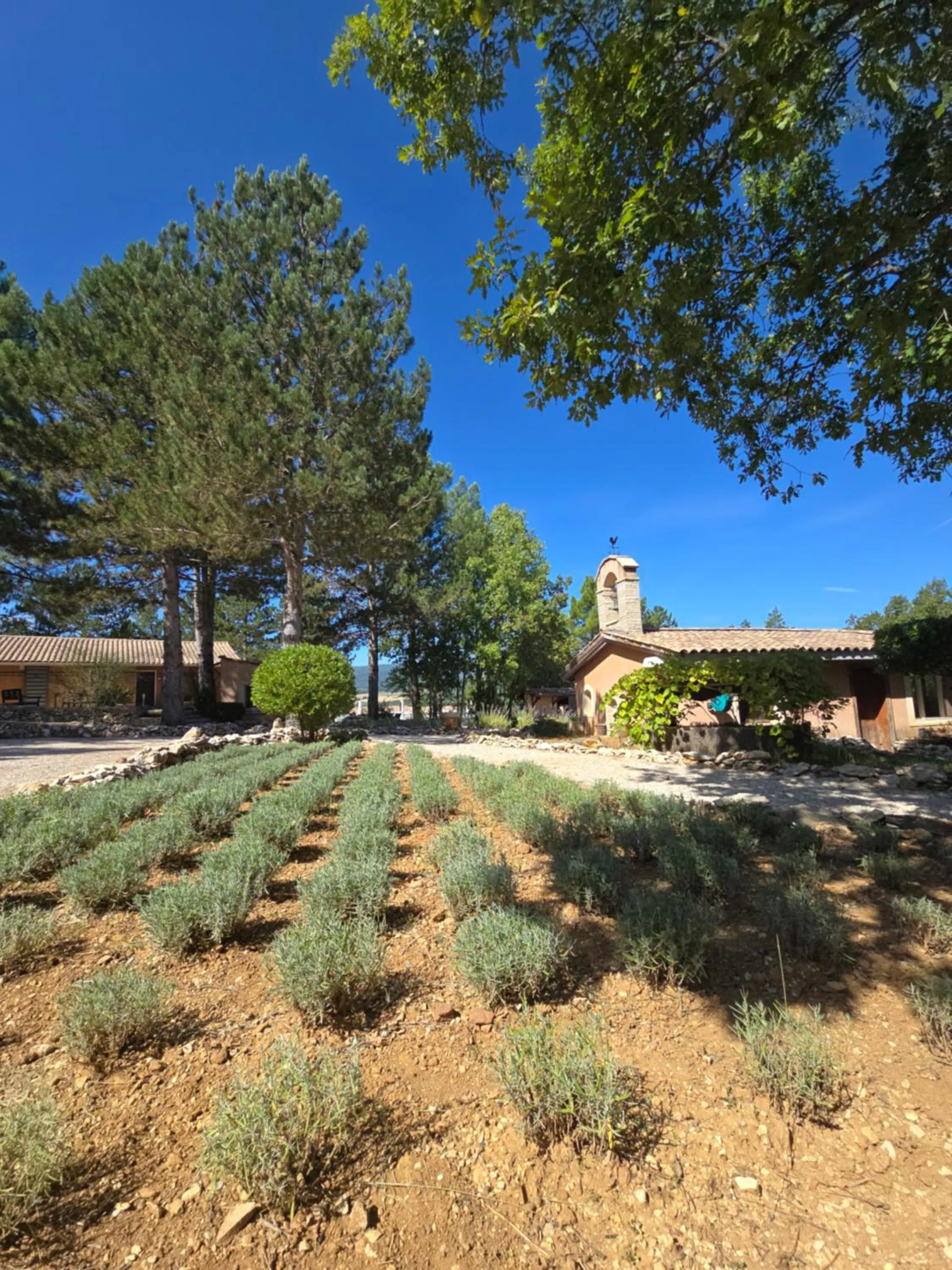 Garden in Domaine du Val de Sault