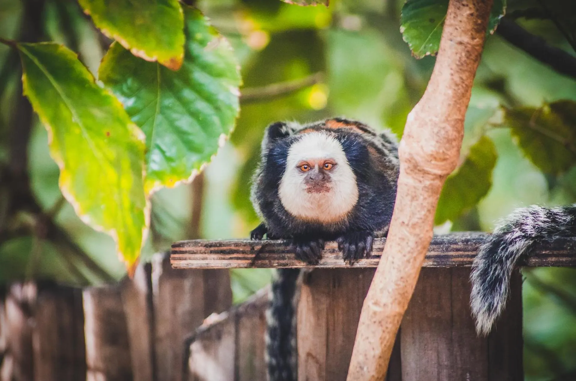 View (from property/room) in Hotel Boutique Bahia Bonita